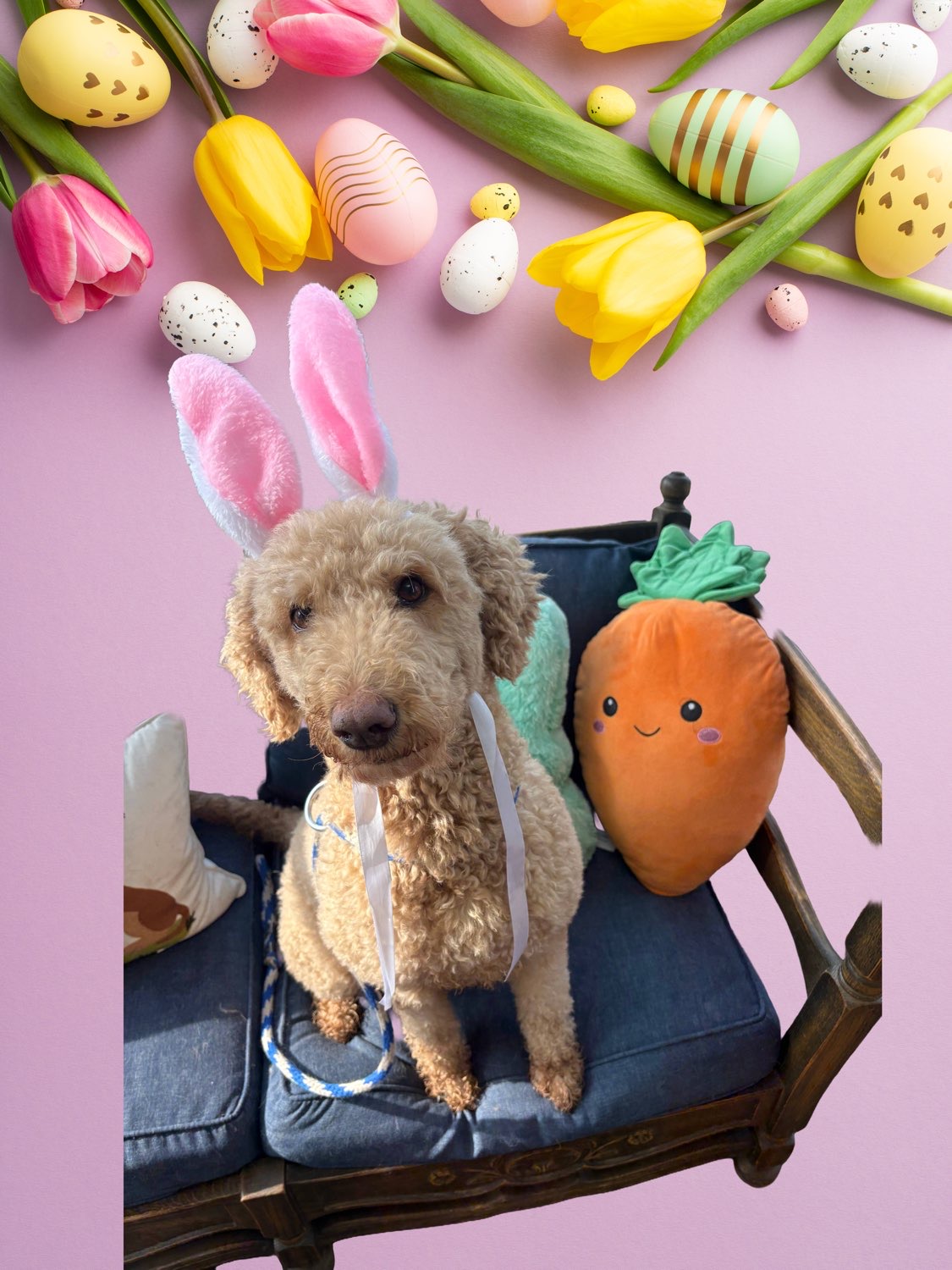 Easter Egg Hunt part 2🐣🐰