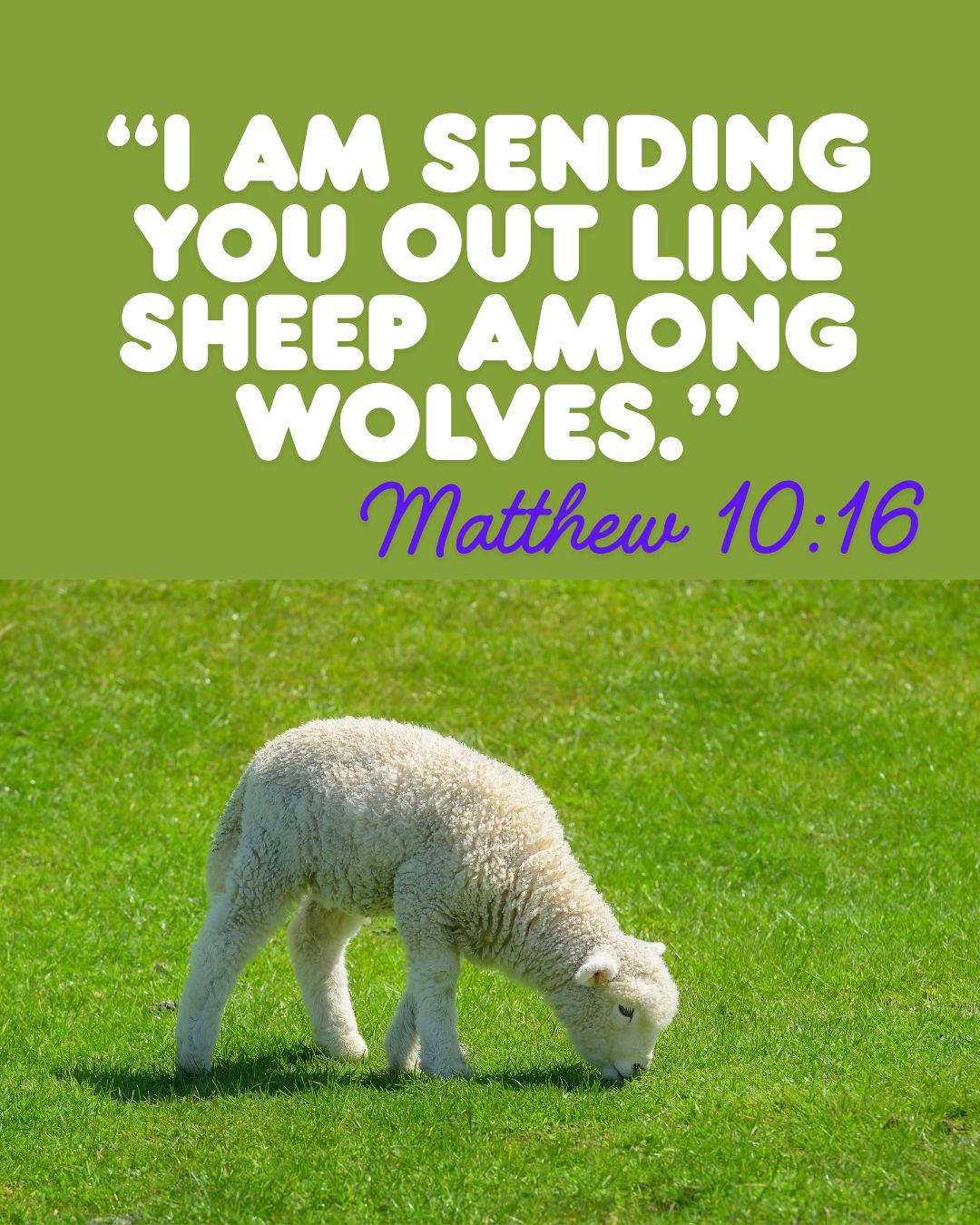 Tonight's study guide is below:
https://www.grjbministries.com/so/a8Ps6s2dP?languageTag=en