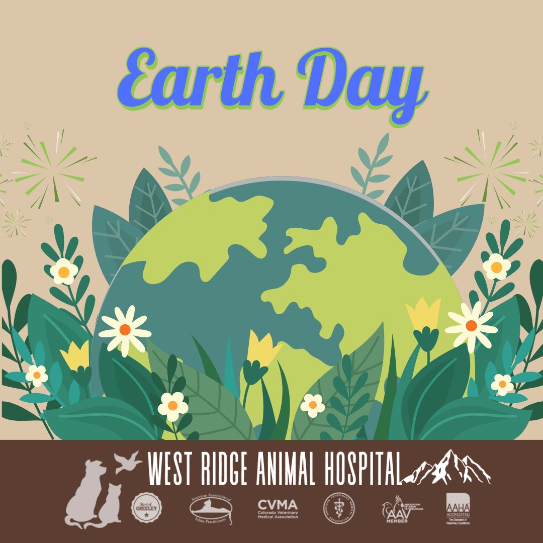 Happy Earth Day from West Ridge Animal Hospital! 🌎🐾
Our beautiful Greeley environment is our pets' absolute favorite playground. Today is a great reminder to do our part to keep it clean, safe, and beautiful for all creatures, great and small.
Whether that means bringing eco-friendly bags on your dog walks, picking up trash on your favorite local trail, or supporting local conservation efforts, every little bit helps! Let’s protect the planet our pets love to explore. 🐶🐱🌲
#EarthDay #WRAH #GreeleyPets #EarthDayEveryDay #GreeleyColorado #PetSafety #ProtectOurTrails #CommunityCare