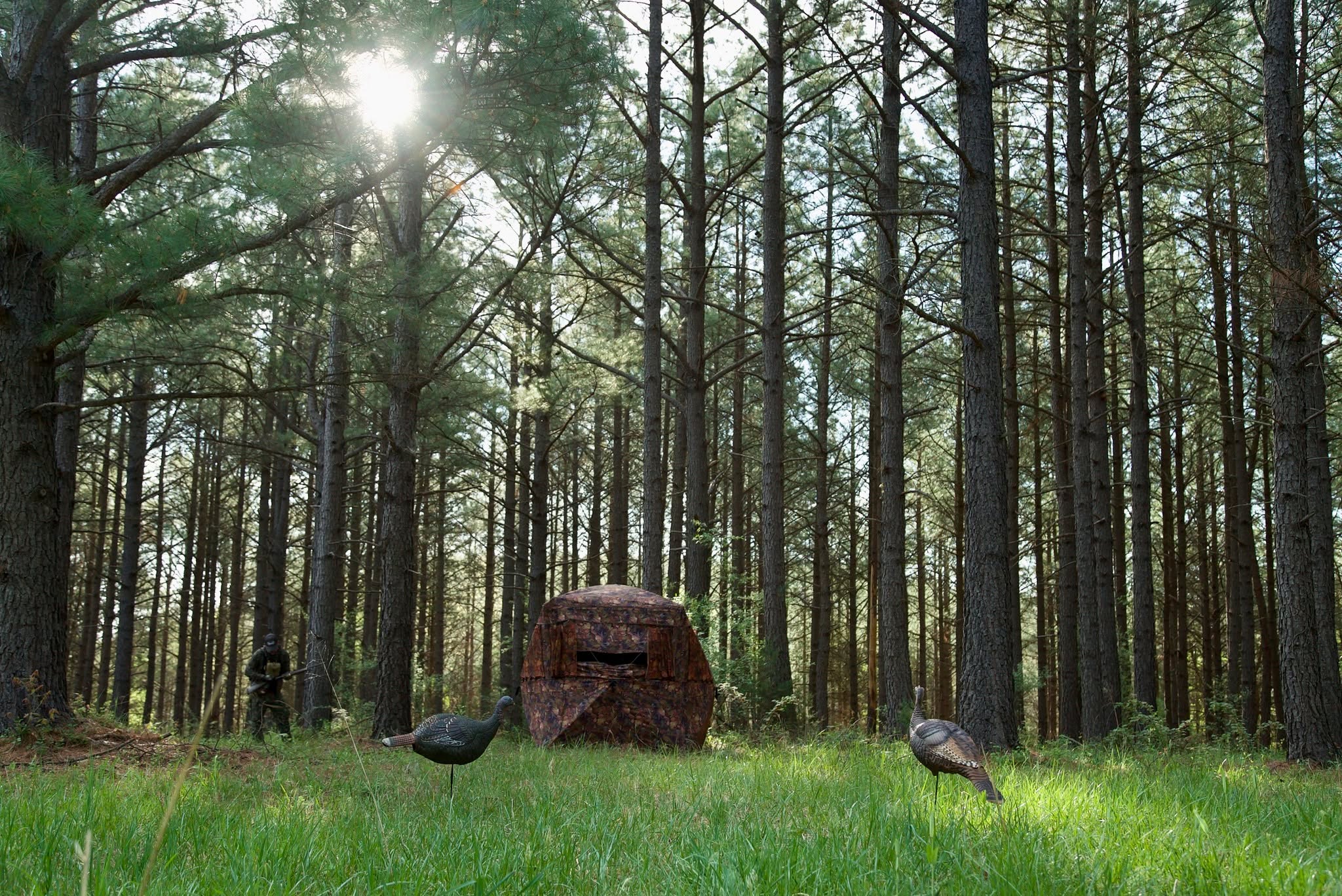 The perfect setup 🦃
📸~ @durlwood_outdoors
#hunting #groundblind #turkeyhunting #turkeyseason #outdoors