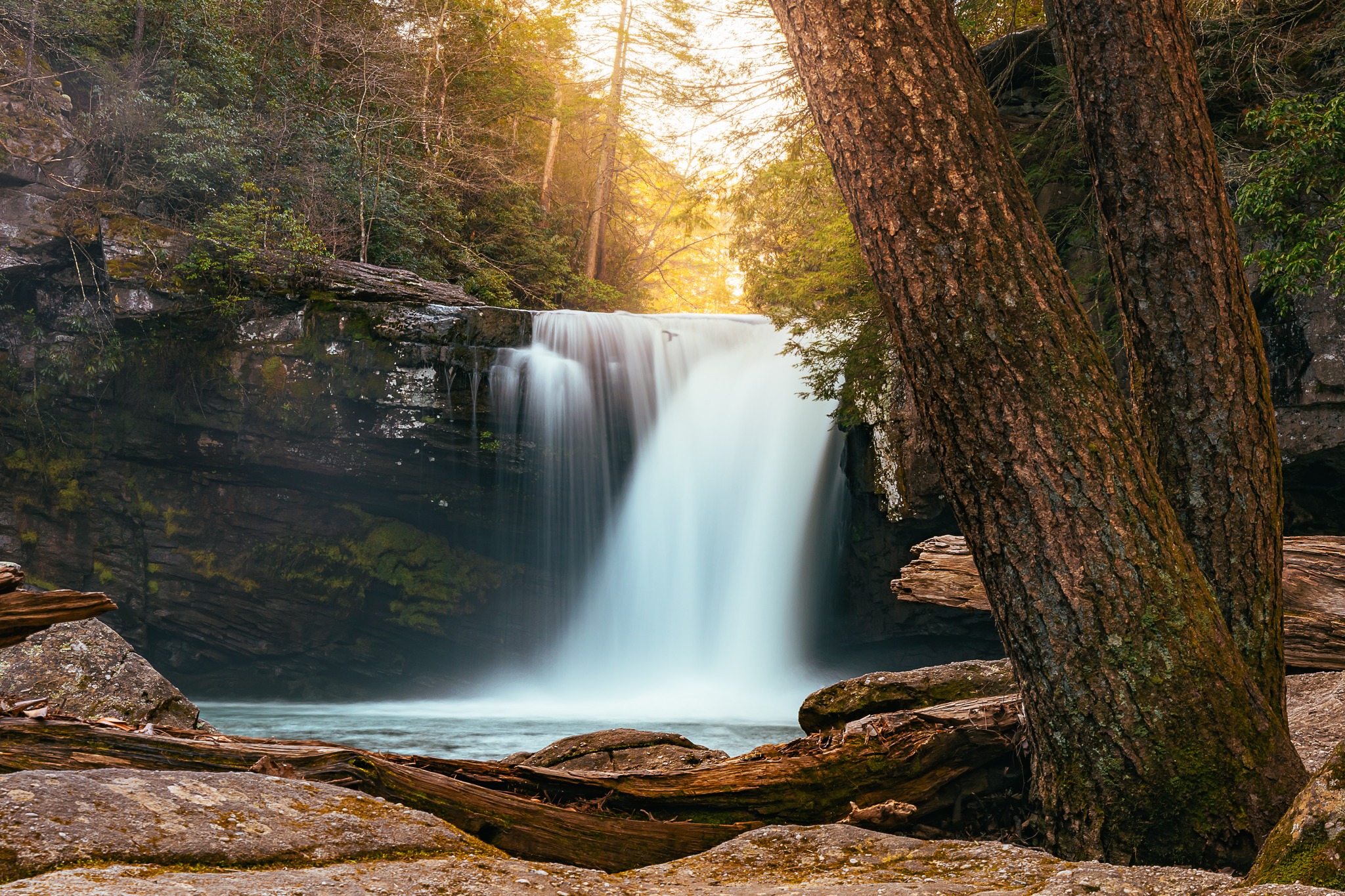 Tucked away in Tennessee’s South Cumberland, this hidden gem is the kind of place that makes you slow down, breathe deeper, and stay a little longer. The sound of the water, the glow through the trees… it’s pure magic.
If you’ve been needing a reset, this is your sign 🌿
Have you been to Savage Falls yet, or is it going on your list?
Chase your waterfalls: https://www.mountainsofadventure.com/insider-info/waterfall-adventure
.
.
#TennesseeTravel #SouthCumberland #SavageFalls #ExploreTN #WaterfallChasing #VisitTennessee #GetOutside #NatureLovers #TravelMore
