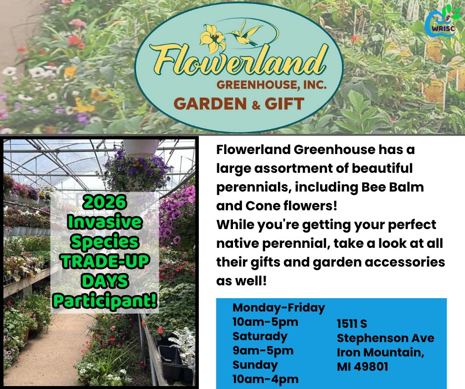 Flowerland Greenhouse Inc is one of the wonderful local greenhouses that are accepting vouchers for Invasive Species Trade-Up Days! They have a large selection and are ready to help you find the perfect native replacement to help your garden thrive!
#shoplocal #nativespecies #nativegarden #greenhouse #gardening