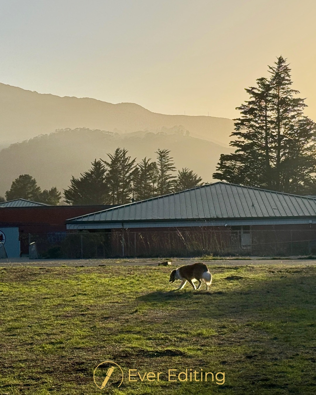Editor Amy recently moved to the Bay Area, where she fell head over heels in love with Karl—Karl the Fog, that is. Karl is the locals’ affectionate nickname for the fog that shows up almost daily. Coming from sunny Utah, Amy did not grasp how enchanting and mysterious thick fog makes everything feel. She loves walking her dogs by the foggy coastline. It’s like walking through a fantasy novel.
This picture was taken by Amy on one of those mysteriously beautiful mornings.
Who else lives in California? Comment “CA” if you do!
#California #AboutTheEditor #BookEditor #Freelance #SmallBusiness #WomenOwnedBusiness