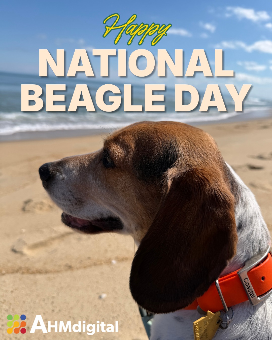 #digital #website #adagency #adacompliant #digitalmarketing #video #targeting #legalmarketing #lawfirmmarketing #lawfirm #smallbusiness #internetmarketing #branding #design #smallbusinesssupport #advertising #seo #video #healthcaremarketing #healthcaremarketingagency #nationalbeagleday #nationalbeagleday2026