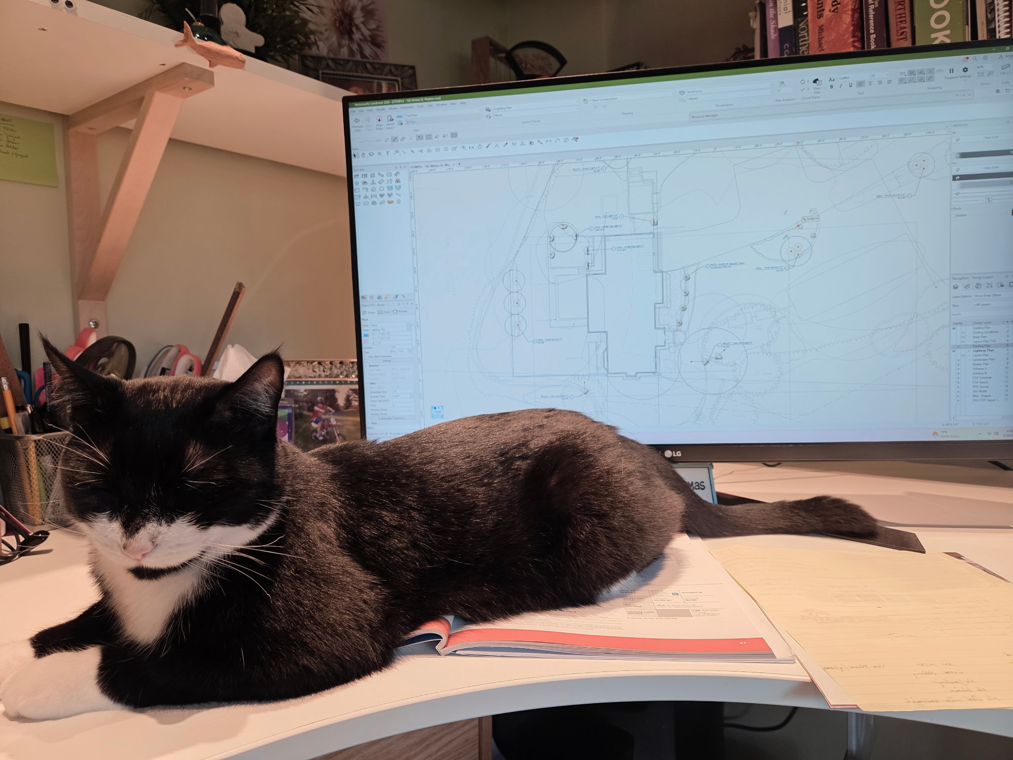 Felix, the office intern, was supposed to be selecting landscape lighting fixtures from the catalog....not sleeping on the catalog! I'm a little worried about Gen Alpha's work ethic right now. Sigh.
@allianceoutdoorlighting #AngieVergeLandscapeDesign