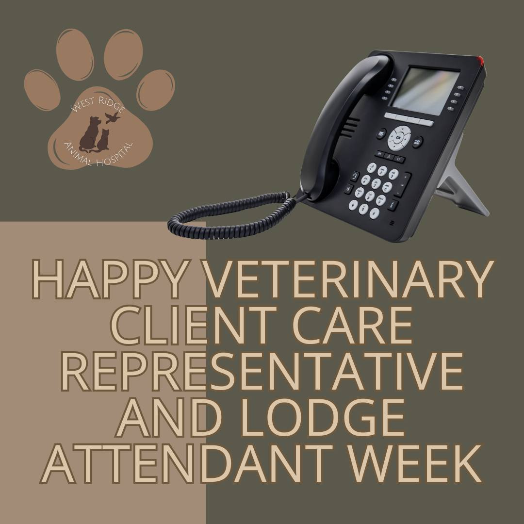 Behind every healthy pet is a team that cares from the very first hello! 📞✨
Happy Veterinary Client Care Representative and Lodge Attendant Week! This week, we are shining a spotlight on our incredible front-line team and our dedicated boarding crew. Our Client Care Representatives are the voices that comfort you on the phone and the smiles that greet you at the door, while our Lodge Attendants work tirelessly behind the scenes to make sure every pet feels safe, loved, and right at home.
Join us in the comments! Have you had a great experience with our front desk or boarding team? Please take a moment to say "thank you" or share a kind word for these essential team members!
#CCRWeek #LodgeAttendantWeek #WRAHWarriors #GreeleyVets #WestRidgeAnimalHospital #PetCareHeroes #GreeleyCommunity