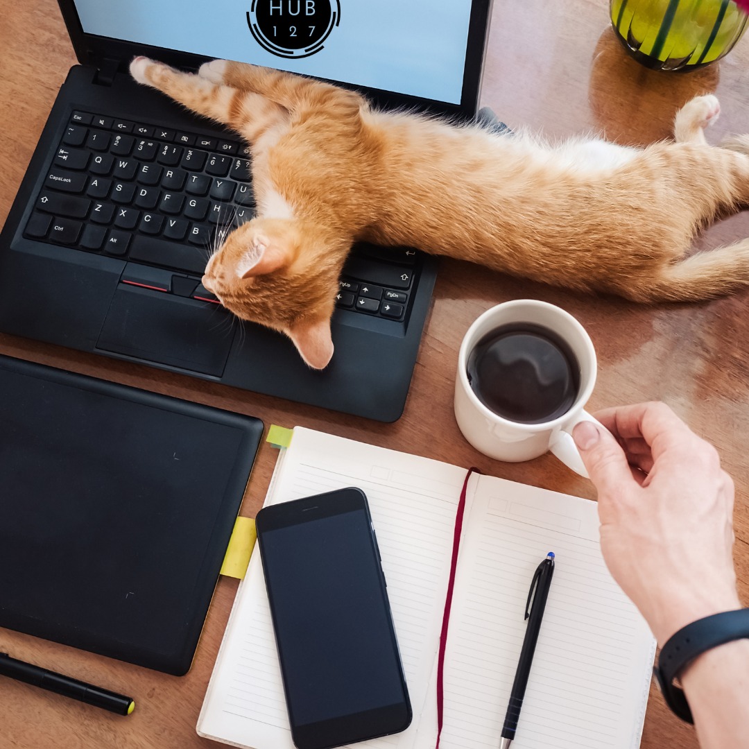 💻Where are you working today?
At home = distractions, interruptions, same routine
At the HUB 127 = focus, energy, fresh perspective
Sometimes a small change makes a big difference. Are you ready for a change?