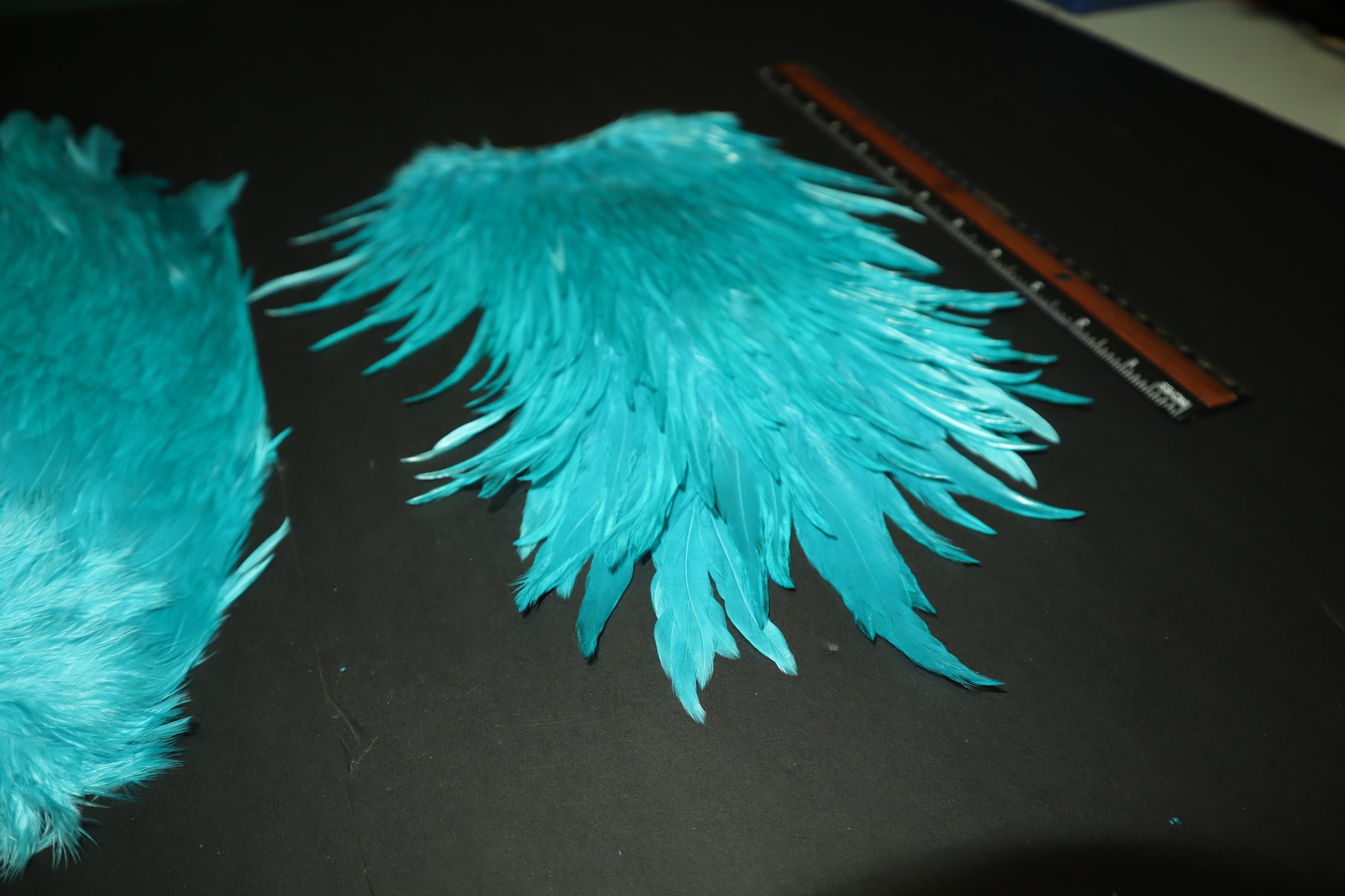 🔥 NOUVEAUTÉ À LA SHED À PLUMES 🔥
Nos Grandes Selles de Coq Super Select AAA Vert Bleu (Greenish Blue) sont enfin disponibles… et elles sont tout simplement 🔥🔥🔥
💎 Qualité AAA supérieure
💎 Fibres longues, souples et ultra mobiles
💎 Teinte vert bleu unique qui déclenche les attaques
💎 Parfait pour vos streamers, Woolly Bugger et patrons carnassiers
🎣 Que tu montes pour la truite, le saumon, le brochet ou le musky, cette selle apporte une action vivante dans l’eau et un look irrésistible.
👉 Chaque plume est sélectionnée pour offrir constance, durabilité et performance au montage comme à la pêche.
⚡ Stock limité – les meilleures partent toujours en premier !
🛒 Disponible maintenant sur 👉 https://www.shedaplumes.com/product-page/nos-grandes-selles-de-coq-super-select-aaa-vert-bleu-greenish-blue-1
#montagedemouches #flytying #streamer #woollybugger #shedaplumes #flyfishing #truite #saumon #brochet #musky
https://www.shedaplumes.com/product-page/nos-grandes-selles-de-coq-super-select-aaa-vert-bleu-greenish-blue-1