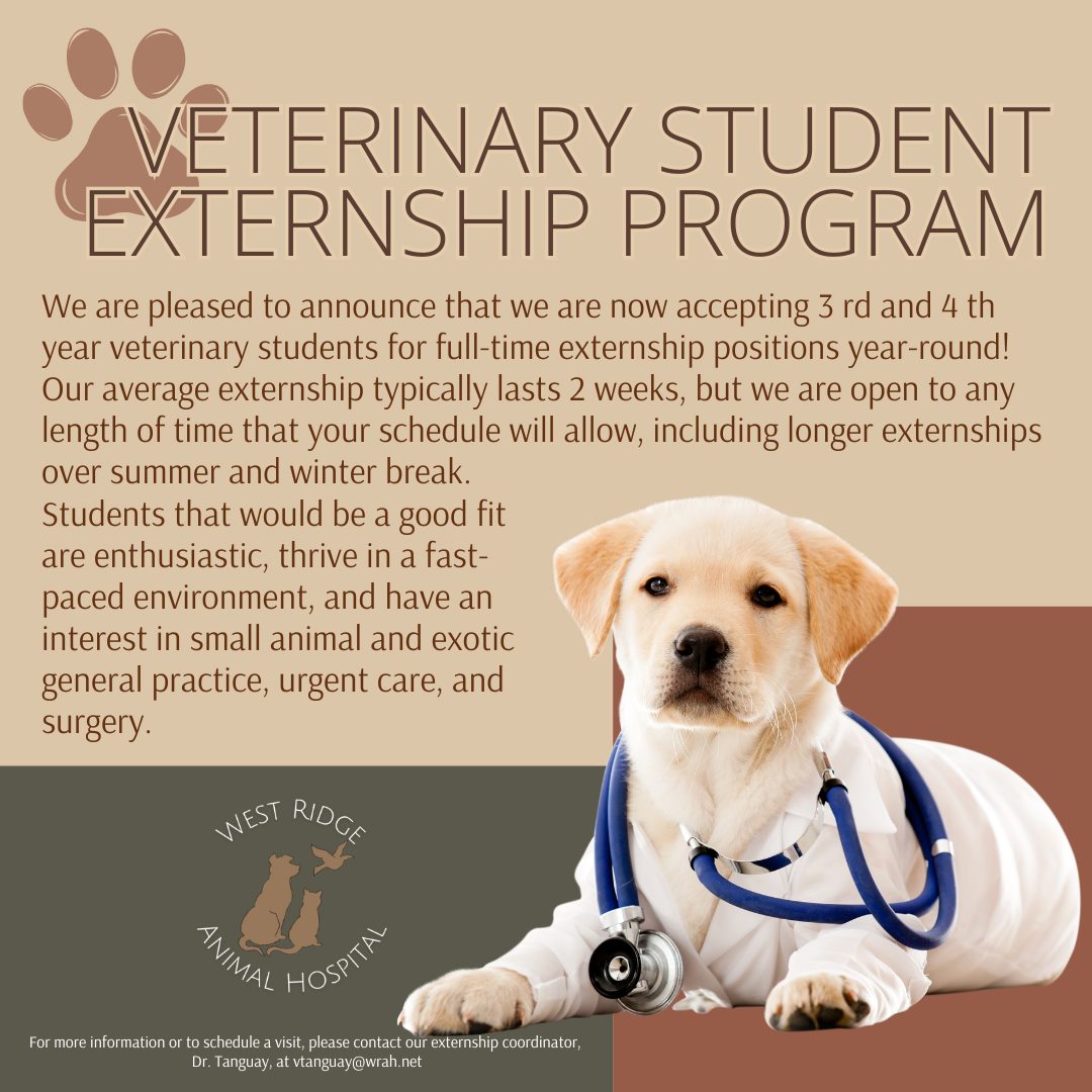 Calling all 3rd and 4th-year Vet Students! 🐾🩺
Are you looking for an externship that offers more than just observation? West Ridge Animal Hospital is now accepting applications for full-time externship positions year-round!
Whether you want to spend 2 weeks with us or an entire summer break, you’ll dive deep into:
✅ Small Animal & Exotic Practice
✅ Urgent Care & Emergency Surgery (Foreign bodies, blocked cats, and more!)
✅ Advanced Procedures (Laparoscopic gastropexies, orthopedic surgeries, and dentistry)
Located in the bustling city of Greeley, CO, we offer the perfect blend of a busy, fast-paced environment and a supportive, "Fear Free" team culture. Plus, we’ve got you covered—housing is provided directly across the street at Creek View apartments!
When you aren't at the hospital, you’re just 45 minutes from the Rocky Mountains, the college vibes of Fort Collins, or the city lights of Denver. 🏔️🏙️
Ready to join the WRAH family?
📧 Email our coordinator, Dr. Tanguay, at vtanguay@wrah.net
🔗 Learn more: https://www.wrah.net/externship
#VetStudent #VetExternship #FutureDVM #WestRidgeAnimalHospital #GreeleyVets #ExoticMedicine #UrgentCare #AAHAAccredited #VetSchoolLife
