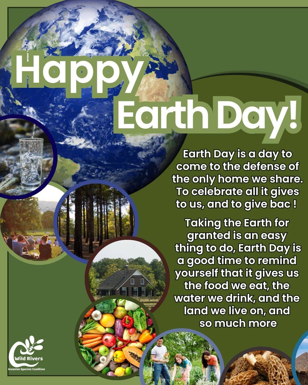 🌏Happy Earth Day! 🌎
There are a lot of ways to celebrate Earth Day!
Come help us celebrate by removing invasive Garlic Mustard!
More info here:
https://www.wrisc.org/events-1/earth-day-clean-up-at-city-park