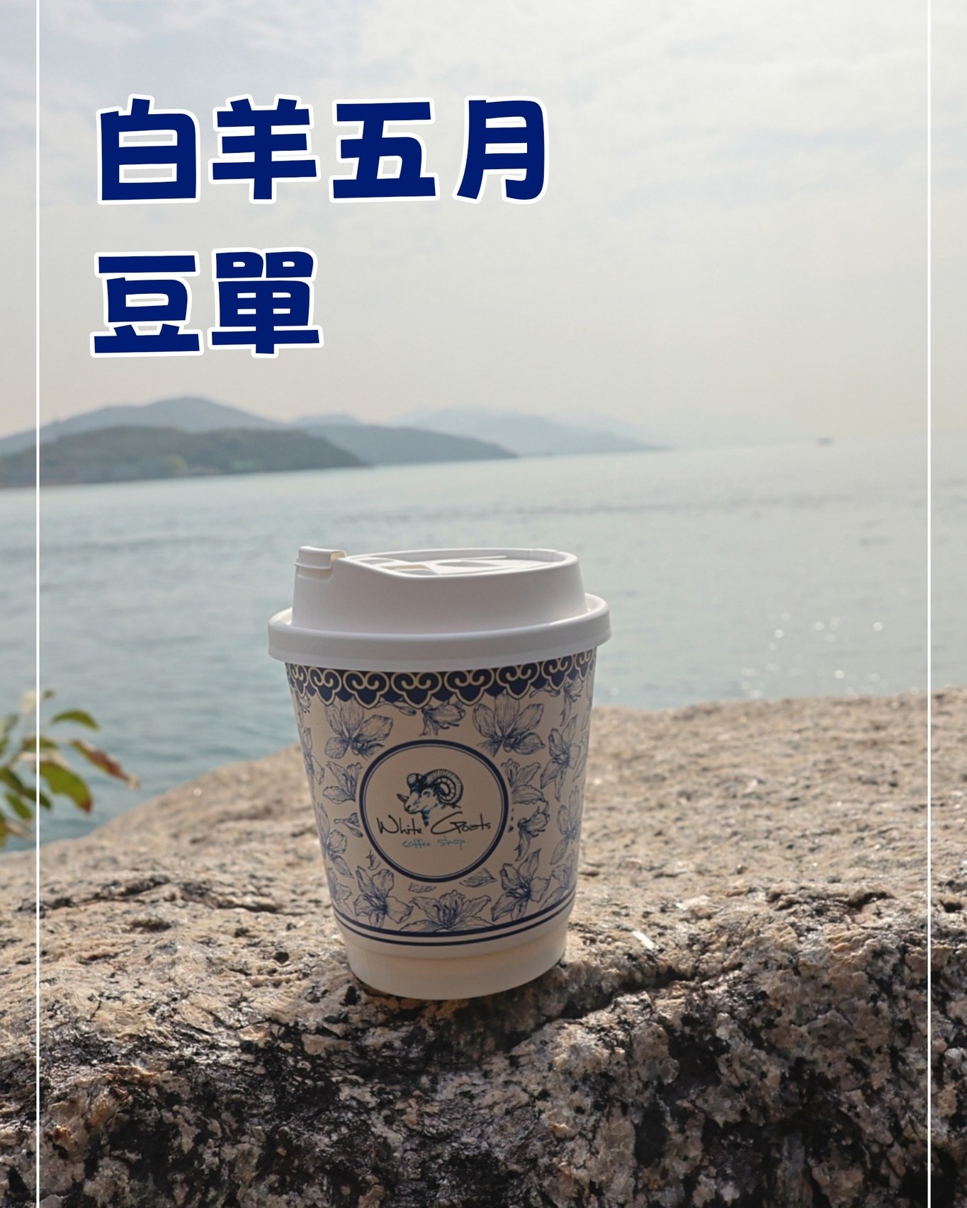 五月白羊