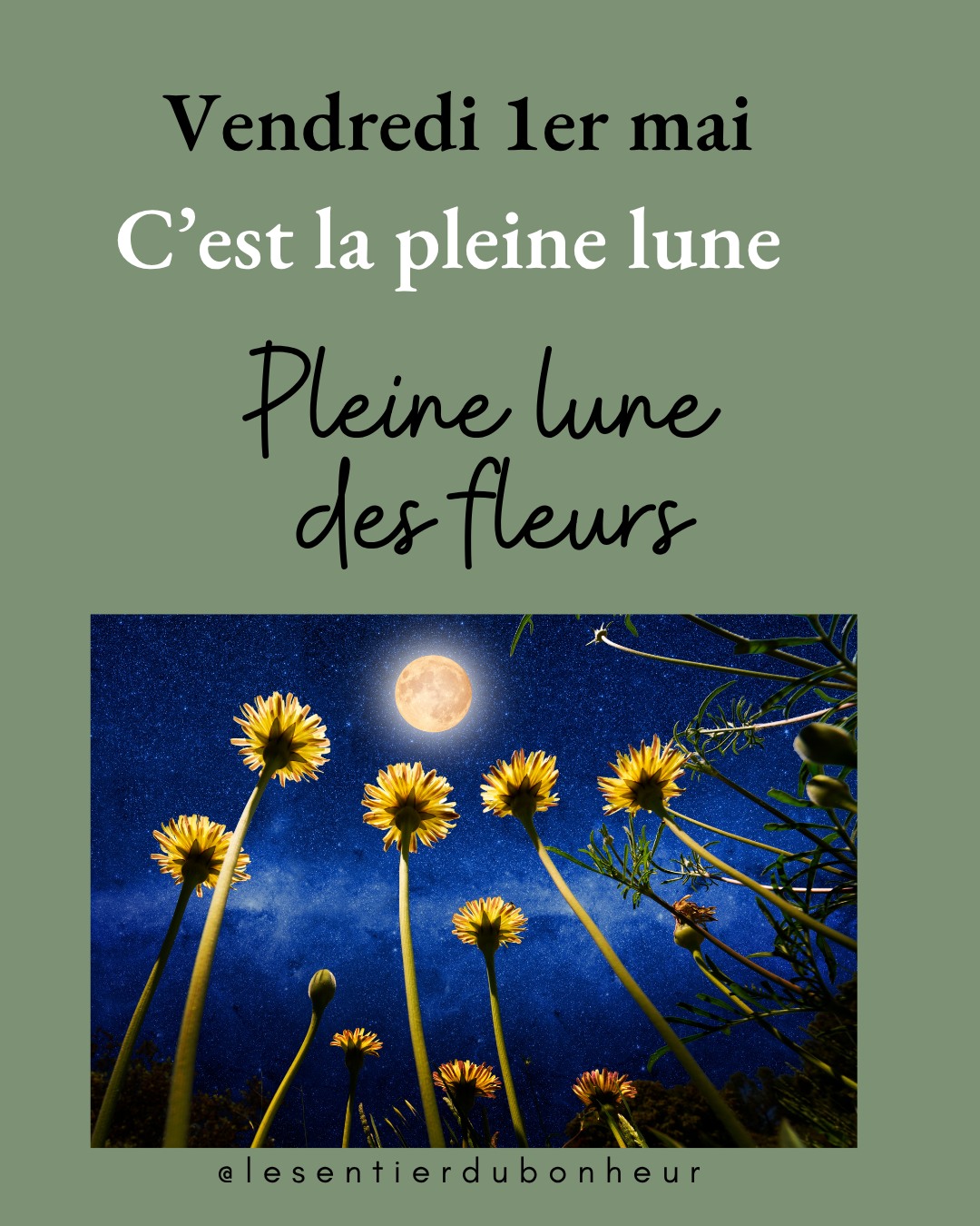 Pleine Lune des Fleurs du 1er mai 2026 en Scorpion 🌸
Le ciel nous offre ce soir une lune rare : la Lune des Fleurs en Scorpion, première de deux pleines lunes en mai. Une énergie intense, profonde, celle qui ne te demande pas d'être parfaite, mais d'être vraie.
Le Scorpion a cette capacité unique de toucher ce qu'on n'ose pas regarder. Pas pour raviver des blessures, mais pour les reconnaître. Pour dire : j'ai porté ça assez longtemps.
Ce que tu ressens ces derniers jours, cette fatigue, ces émotions qui montent sans raison apparente, cette envie de changement sans savoir par où commencer, c'est elle. La lune prépare le terrain avant de se montrer.
Tu n'as rien à forcer. Juste à te poser.
Et peut-être à te demander :
Qu'est-ce que je suis prête à ne plus porter ?
Glisse pour découvrir les messages de cette lunaison, un rituel simple, et comment je peux t'accompagner avec un mini soin énergétique à distance 🌙
💜 Soin collectif à distance: Pleine Lune des Fleurs
Pour t'aider à traverser cette énergie de transformation en douceur.
25.- CHF
Infos et réservation : lien en bio
Ou par Twint au 079 442 67 42 → ton prénom, nom et date de naissance
#pleinelune #lunedesfleurs #scorpion #lunaison #soinsenergetiques