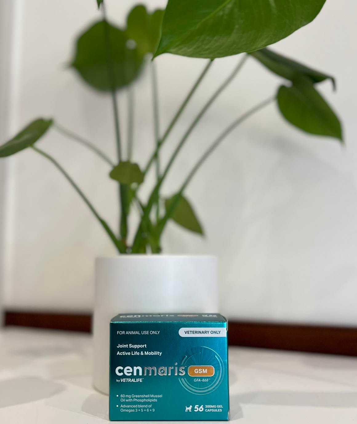 NOW IN STOCK!
Cenmaris® GSM is a natural joint & mobility supplement for dogs designed to support long-term joint health and mobility.
Most dogs show noticeable improvement within 10–14 days. They are soft gel capsules, which allows for better absorption and easier delivery.
Pop in anytime as this product is available over the counter or you can chat to us at your next consultation.☺️