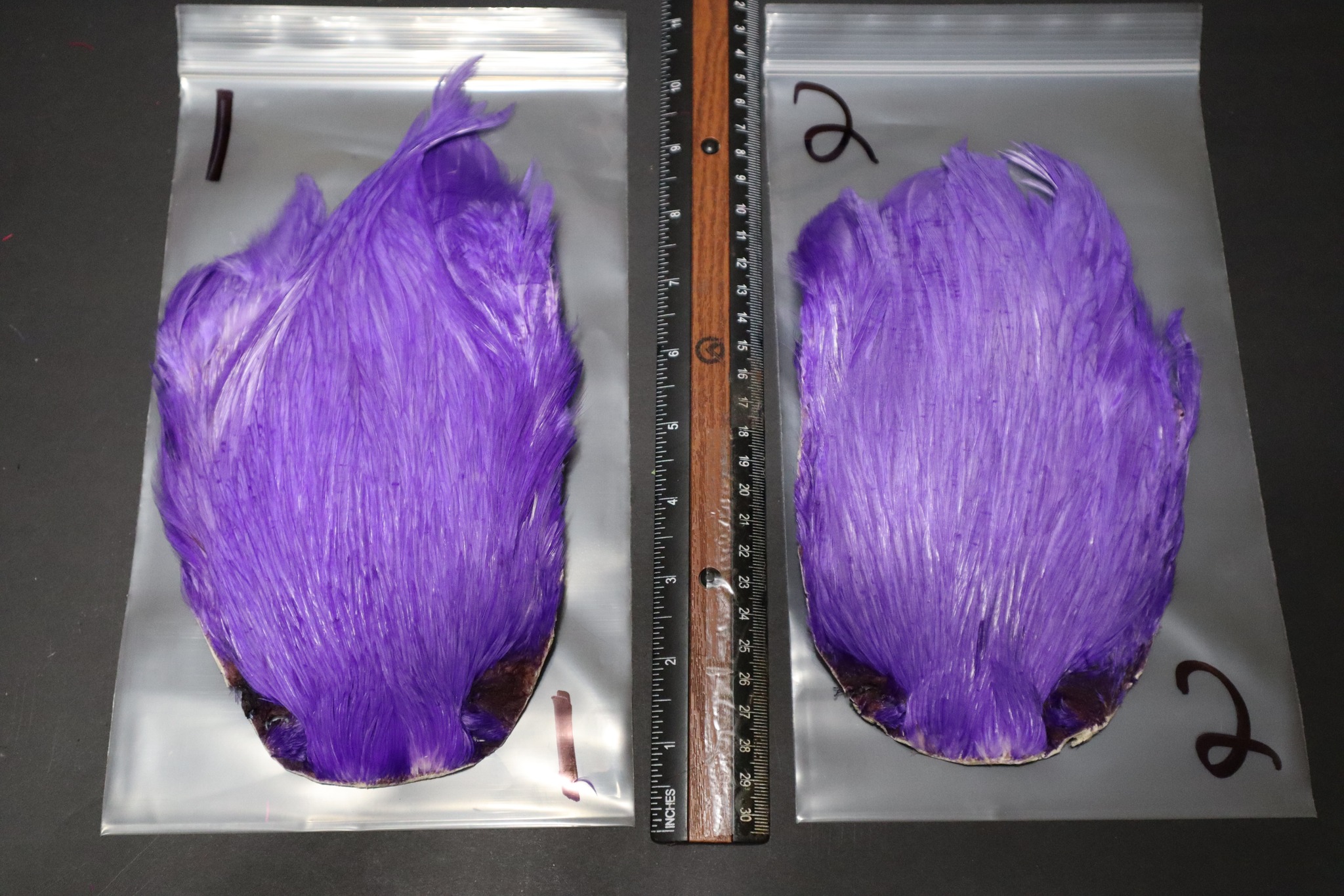 💜🔥 PURPLE MONSTER – POLYVALENCE MAXIMALE 🔥💜
La Cou / Cape de Coq Super Select AAA – Teinte Purple Monster, c’est pas juste beau… c’est ultra efficace autant en mouche sèche qu’en streamer 💥
💎 Qualité AAA premium
💎 Fibres fines et rigides pour les mouches sèches (flottaison et précision)
💎 Fibres longues et souples parfaites pour les streamers & Woolly Bugger
💎 Couleur Purple Monster : visibilité + contraste = attaques assurées
🎣 Une seule cape, deux mondes :
👉 Mouches sèches délicates
👉 Streamers agressifs
Que tu pêches la truite, le saumon ou les carnassiers, cette cape t’offre polyvalence, performance et style au montage.
⚡ Stock limité – les meilleures capes partent vite!
🛒 Disponible maintenant 👉 https://www.shedaplumes.com/product-page/cou-cape-de-coq-super-select-aaa-teint-purple-monster-1-14
#montagedemouches #flytying #mouchesèche #streamer #woollybugger #purplemonster #shedaplumes #flyfishing