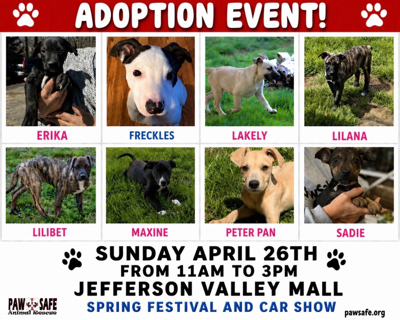 🐾 Adoption Event! 🐾
Come meet and adopt these sweet, adorable pups looking for their forever homes!
📍 Jefferson Valley Mall
650 Lee Blvd, Yorktown Heights, NY 10598
🗓 Sunday, April 26th
⏰ 11AM – 3PM
Join us at the Spring Festival & Car Show for a fun day and maybe meet your new best friend 🐶❤️
We can’t wait to see you there!