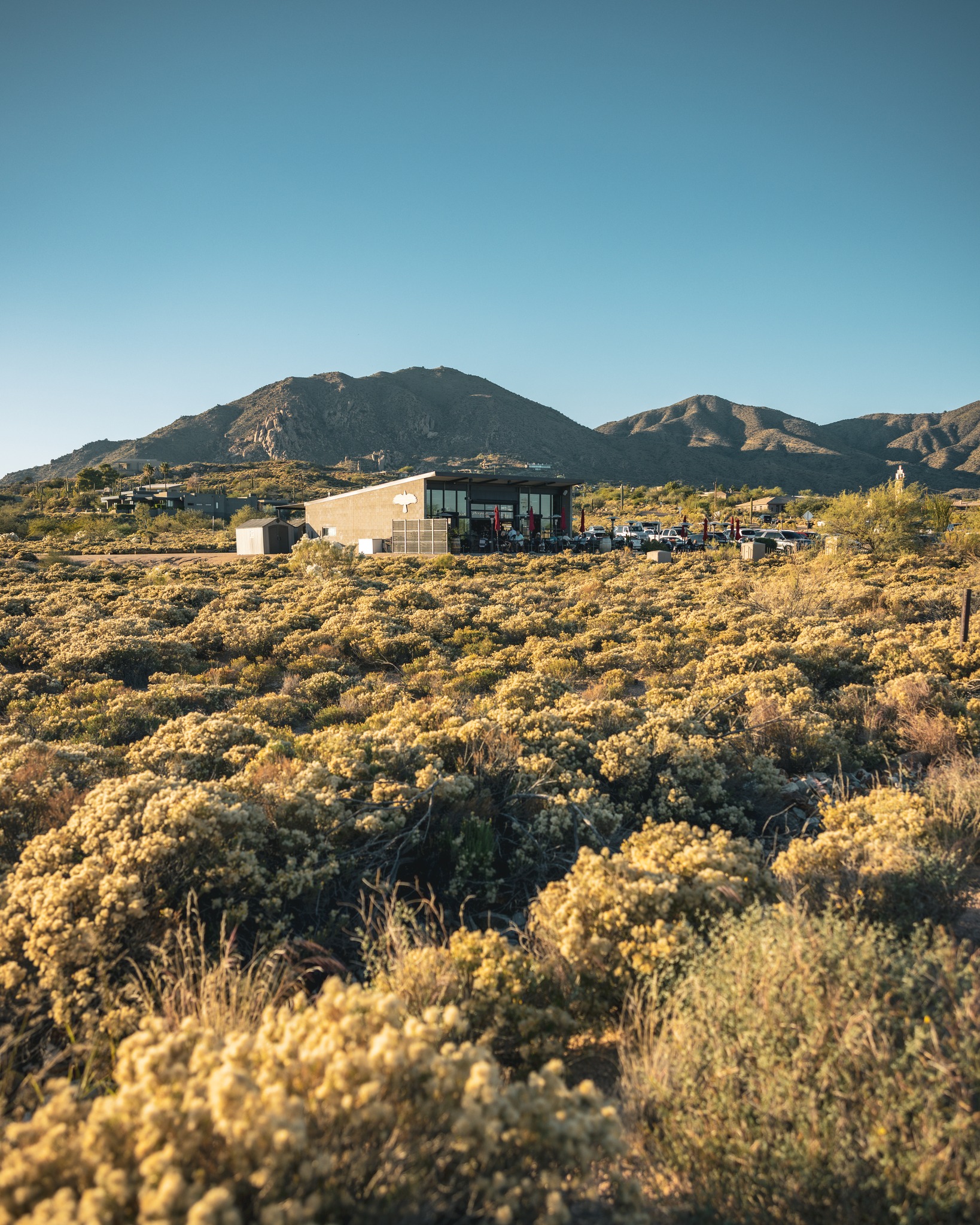 Off the beaten path, where the hills hold something different. Get away, and find yourself here. 🖤 Make your reservation @ the link in our bio.
#RavensViewWineBar #CaveCreek #WineBar #CaveCreekHappyHour