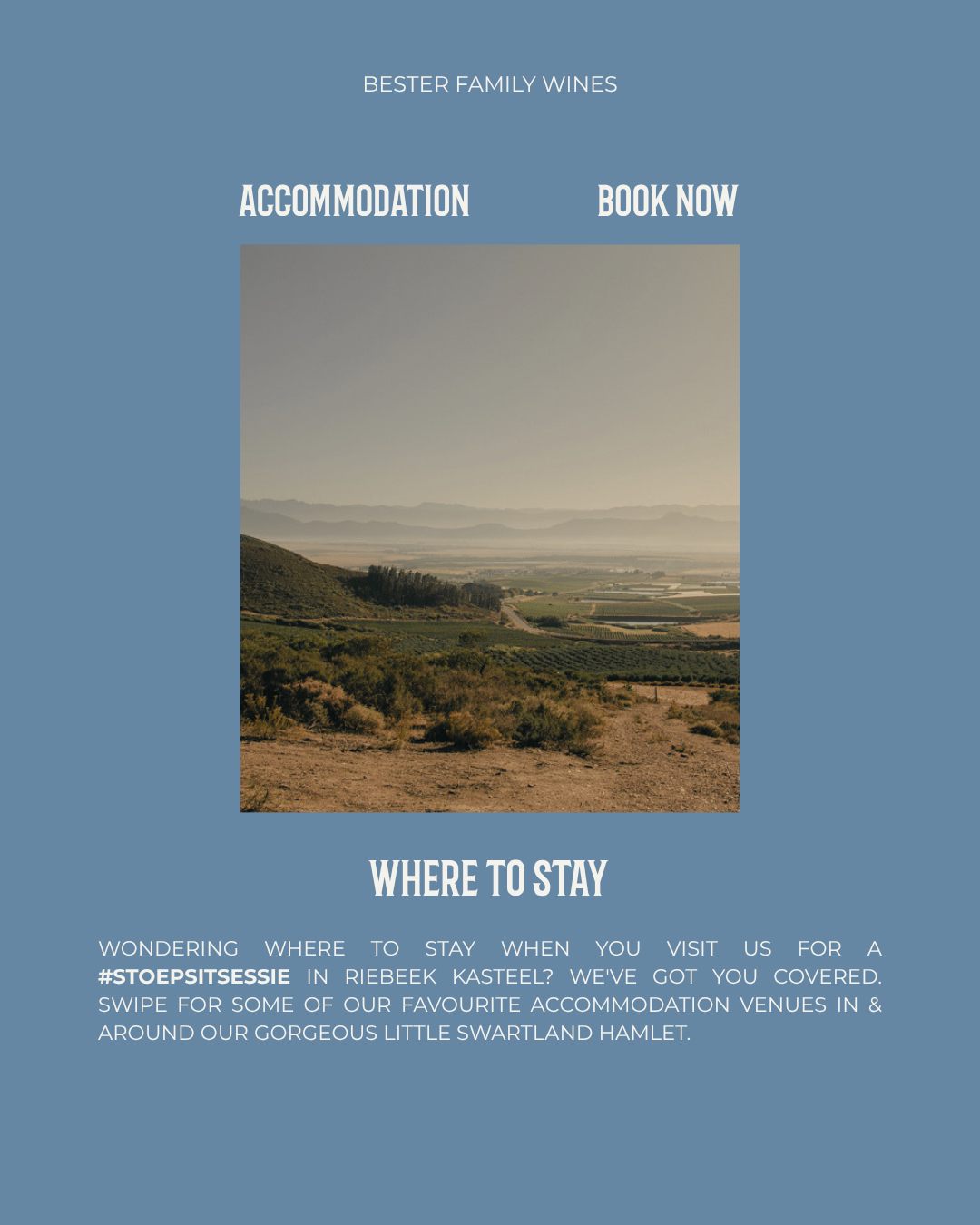 Wondering where to stay when you visit us for a #StoepsitSessie in Riebeek Kasteel?
We've got you covered. Here is a little list of some of our favourite accommodation venues in & around our gorgeous little Swartland hamlet:
🏡 @kokoshuis (aesthetic gem, quiet luxury)
🏡 @theroyalhotel_rk (old-school glam in the centre of town)
🏡 @delsmafarm (excellent for groups & farm stay)
🏡 Kasteelberg Place (on the town square, walking distance everywhere)
🏡 @@kloovenburg.estate Guesthouse (lush, romantic, timeless)
Now you know! See you soon... Book your STOEPSIT ASAP.
R 150 | LIGHT SNACKS | MAX 6 GUESTS | 48H NOTICE
Email zakkie@besterwines.com to book