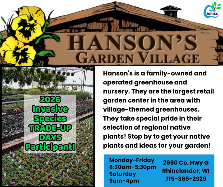 Invasive Species Trade-Up events are starting next week!
Hanson's Garden Village of Rhinelander, WI is accepting Trade-Up Days vouchers again this year! They have a large selection of native plants to choose from.
More info about Trade-Up Days: https://www.wrisc.org/trade-up-days
#TradeUpDays #invasivespecies #nativespecies #shoplocal #nativegarden