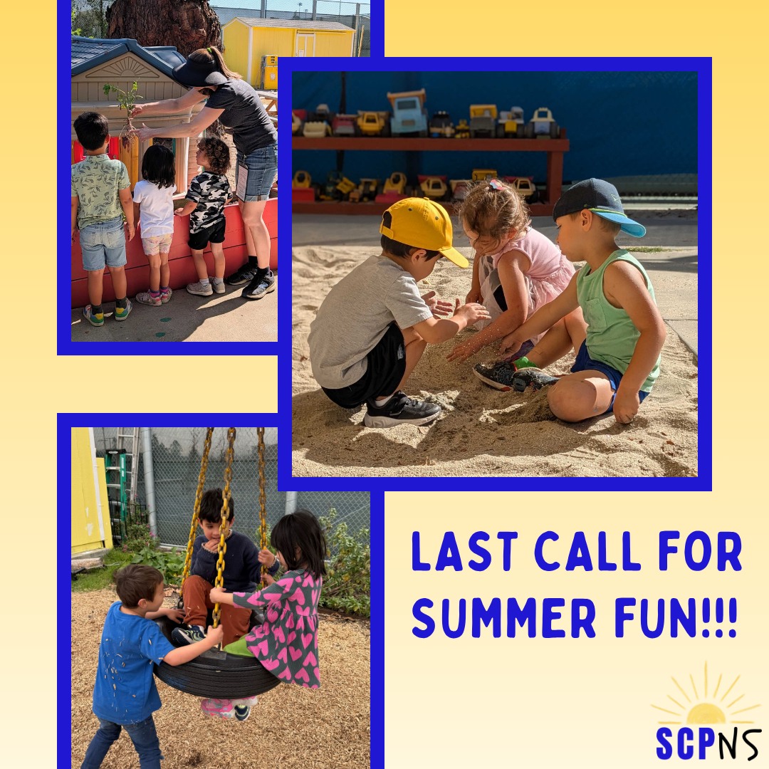 Splashy days, sunny play, and new friendships ☀️💦
We’re in the final countdown for summer camp spots at SCPNS—and we’d love a few more families to join the fun 💛
Don’t miss out on the magic 🌿
#SummerAtSCPNS #LastChance #PreschoolJoy