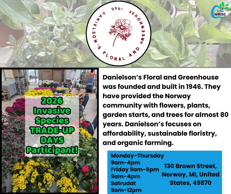 @danielsonsfloral A local Norway greenhouse, which focuses on affordability, sustainability, and organic farming. They are accepting Invasive Species Trade-Up Days vouchers!
Trade-Up Days drop-off events start next week!
More info: https://www.wrisc.org/trade-up-days
#nativegarden #invasivefree #shoplocal #nativespecies #TradeUpDays