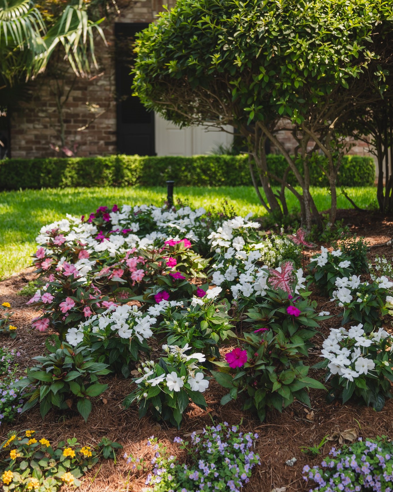 Spring planted, summer ready, and thriving 🌷
▫️ ▫️ ▫️ ▫️ ▫️ ▫️ ▫️ ▫️ ▫️ ▫️
#thegardengateslandscapecompany #landscapedesign #residentialdesign #residentiallandscapedesign #neworleanslandscapes #pavers #thegardengateslandscapecompany #neworleans #metairielandscapes #design #iheartnola #artificialturf #turf #design