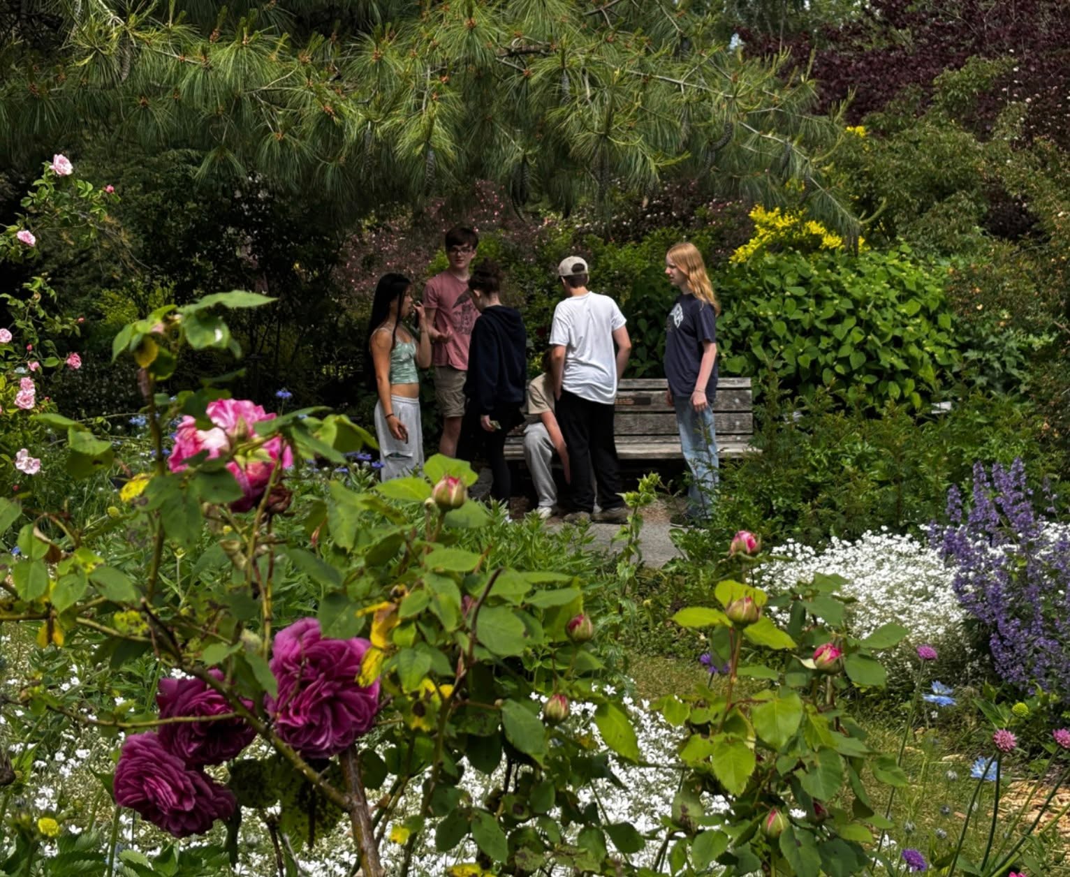Check out this new article on our Junior High program:
→ https://sagefamily.com/the-school-that-gave-me-hope/
"This harmonious balance of wild and cozy creates a sanctuary for both outdoor exploration and indoor investigation. The purposeful setting feels like a peace-minded community with roots, where integral and reciprocal connection to place breathes life into the curriculum, holistic in an evolutionary way. Moss and math, friend and fire are all balanced in an educational ecosystem." - Rachel Rainbolt