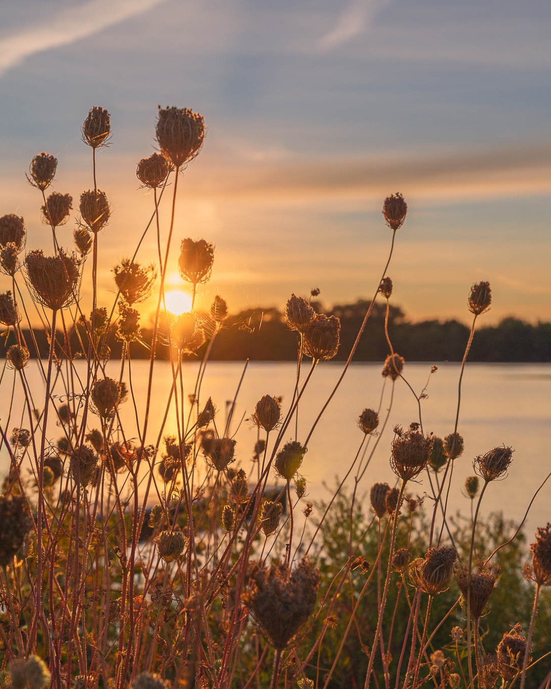 Les journées qui s’étirent, la chaleur sur la peau, les rayons du soleil qui dorent les paysages. 🤩
Les couleurs deviennent plus vives, les moments plus légers, les souvenirs plus simples, mais plus précieux.
🌊 Le fleuve scintille autrement
🌿 La nature respire la liberté
☀️ Et chaque instant t’invite à ralentir
Laisse-toi colorer par l’été qui arrive bientôt!