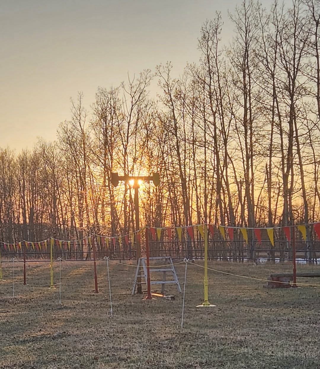 The sun never sets on the Mounted Skill At Arms Empire!
Photo from one of our talented SAA riders Lori Smith
#STALC #horses #SkillAtArms