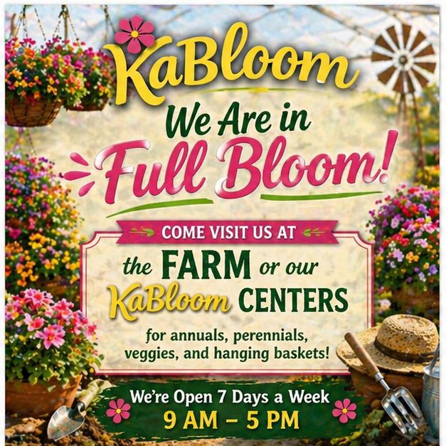๐ธWeโre in Full Bloom!๐ผ Come see us for beautiful annuals, perennials, veggie plants, and hanging baskets ๐ฟ ๐ Open 7 days a week | 9 AM โ 5 PM
Whether youโre planting your garden or just looking to add some color, weโve got everything you need this season. ๐ Visit us at the farm or one of our KaBloom locations! www.ashlandberryfarm.com