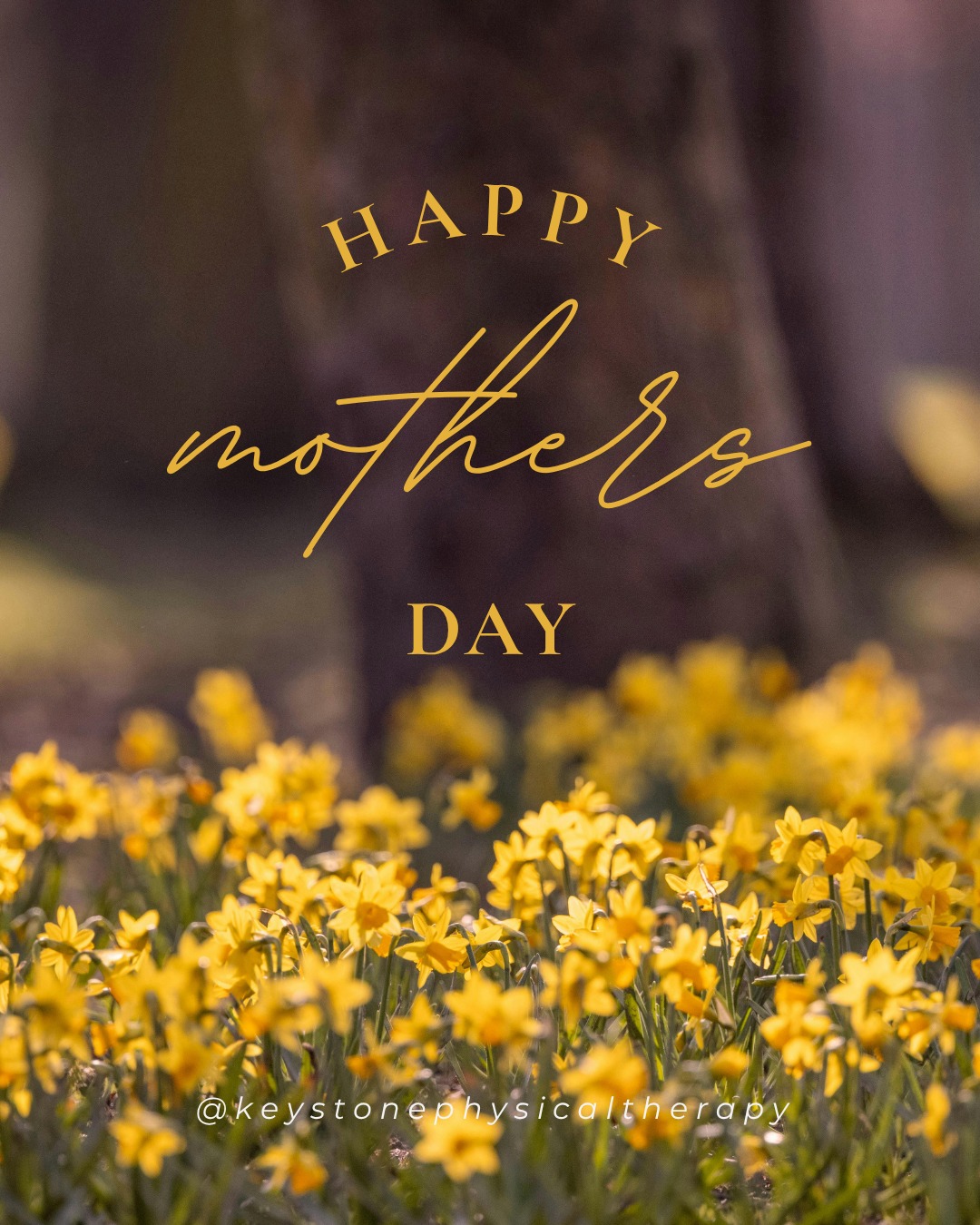 Happy Mother’s Day to the women who keep everything moving—at home, at work, and everywhere in between 💛
You show up, push through, and give so much of yourself every single day. Today, take a moment to slow down, breathe, and take care of you.
Because when you feel your best, you can keep doing all the incredible things you do.
With appreciation today and always—
Keystone Physical Therapy
#MothersDay #HappyMothersDay #CelebrateMom #StrongMoms #MomLife #GratefulForMom #ThankYouMom #CareForCaregivers #SelfCareForMoms #YouDeserveIt #WellnessMatters #HealthyHabits #MoveBetter #StayActive #FeelYourBest #MobilityMatters #InjuryPrevention #PainFreeLiving #PhysicalTherapy #PTLife #KeystonePT #WomenSupportingWomen #EverydayStrength #BalanceAndWellness #TakeTimeForYou #MindBodyHealth #ActiveLifestyle #SupportLocalHealth #FeelGoodMoveWell #StrongerEveryDay