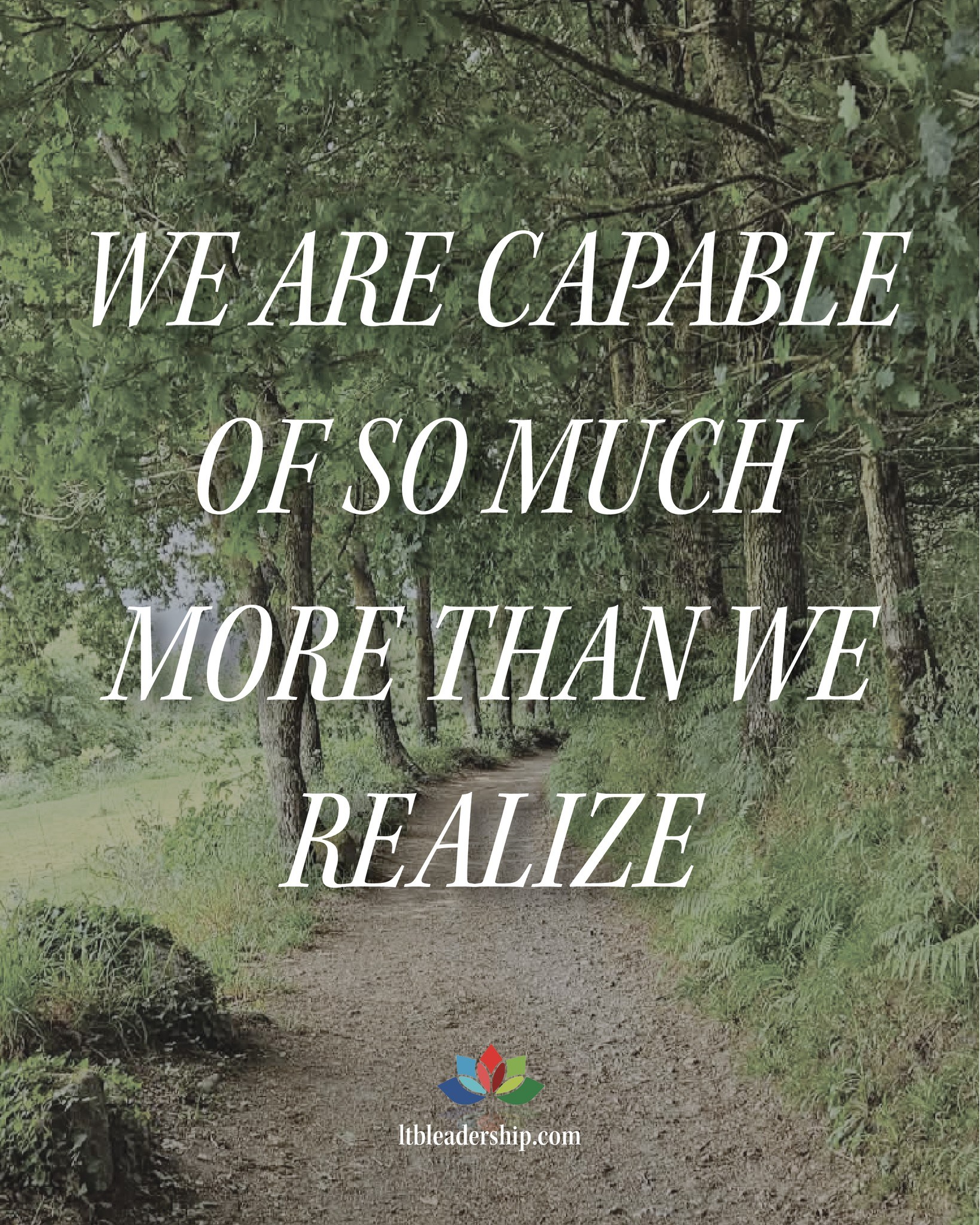 DAY 14 OF THE CAMINO: WE ARE CAPABLE OF SO MUCH MORE THAN WE REALIZE
Follow Along:
https://mycaminodelvino.blogspot.com/2026/05/one-day-left.html