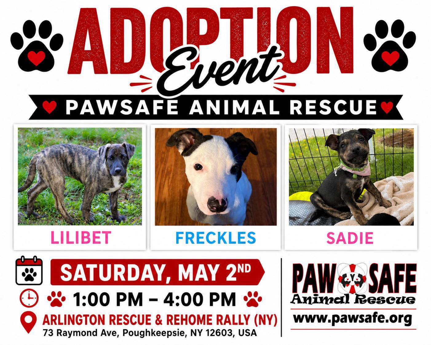 🐾 ADOPTION EVENT 🐾
Join PawSafe Animal Rescue this Saturday and meet your new best friend!
📅 Saturday, May 2nd
⏰ 1:00 PM – 4:00 PM
📍 Arlington Rescue & Rehome Rally (NY)
📍 44 Raymond Ave, Poughkeepsie, NY 12603
Come meet adorable pups like Lilibet, Freckles, and Sadie—your perfect match might be waiting!
💻 Visit Pawsafe.org for more information