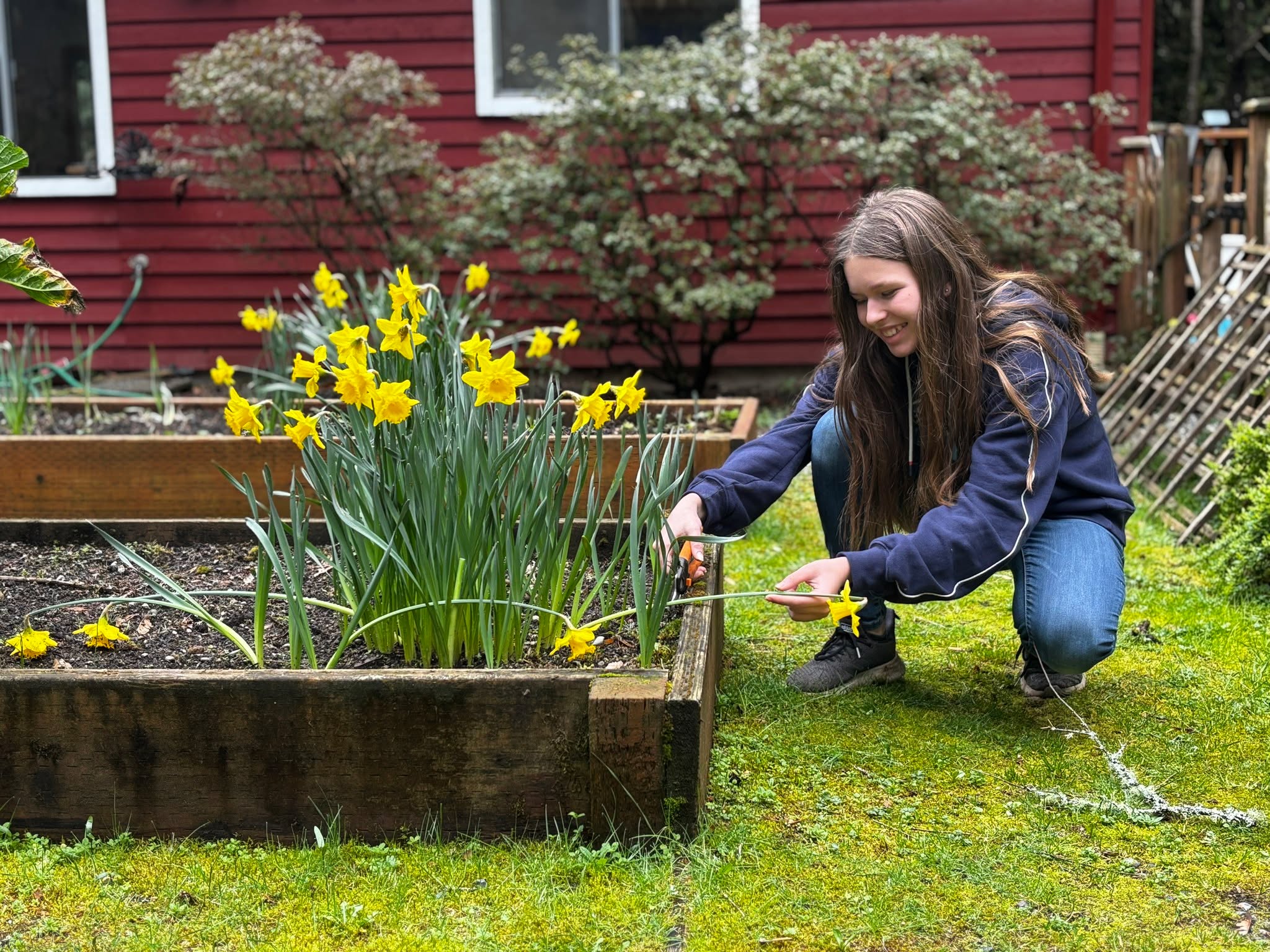 Our Junior High students don’t just study science - they experience it. Being in the garden gives them real responsibility, practical skills, and the kind of calm, grounded confidence that only comes from fresh air and meaningful work.
Montessori Junior High reminds us that adolescents thrive when they can connect with the land, move their bodies, and see the impact of their efforts. And with Washington State standards woven into every project, soil systems, plant biology, and environmental stewardship become part of daily life, not just a chapter in a book.
Yes, they’re preparing for high school. But they’re also gaining something irreplaceable: joy, endorphins, and a sense of belonging that comes from learning in nature.
This is education that helps them grow - inside and out.