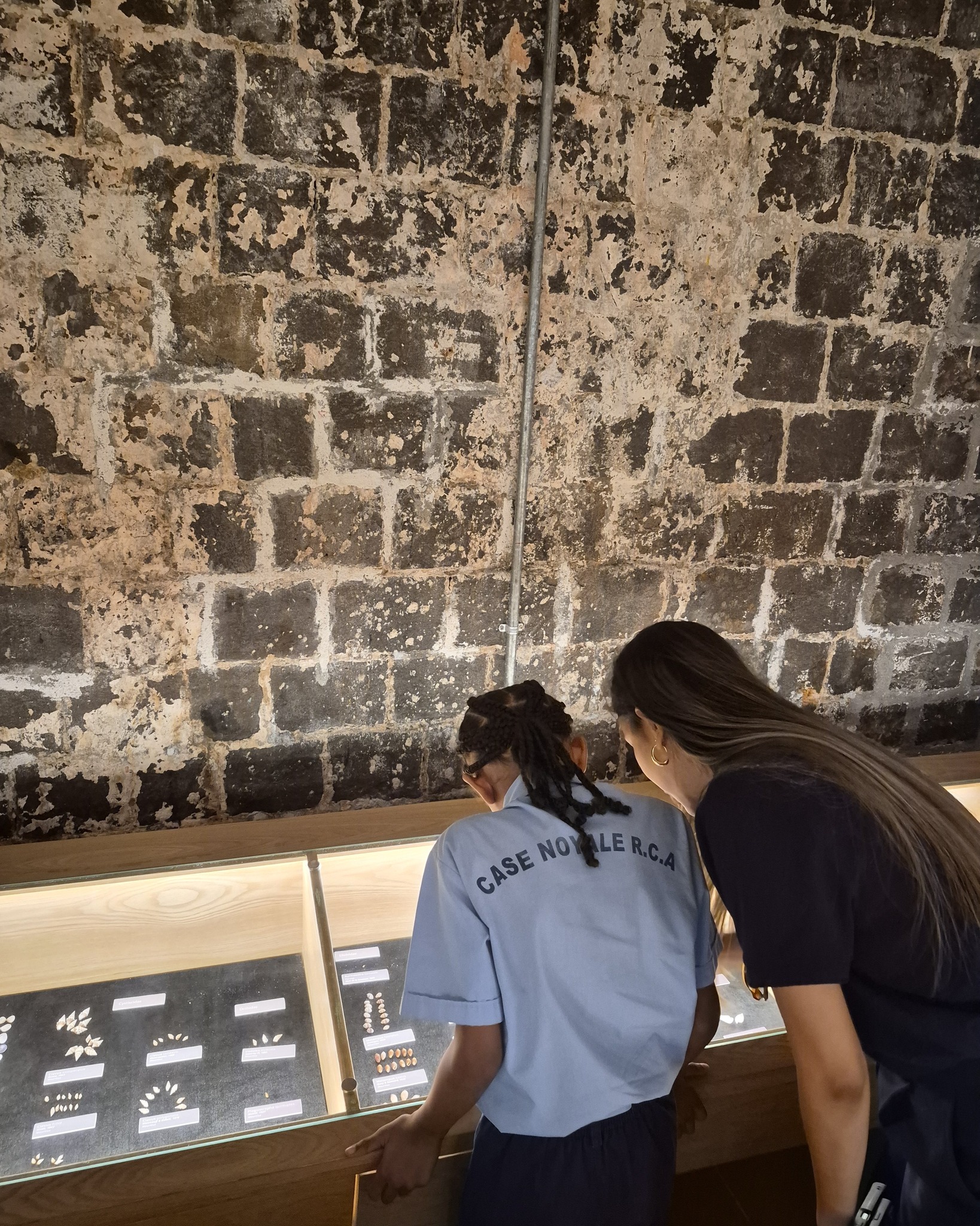 As part of Earth Day and Global Action Days, we had the pleasure of welcoming students from RCA St Jacques of Chamarel and RCA Case Noyale for an educational visit to our seashell museum. 🌊
Throughout the visit, they explored the richness of our collection and discovered how seashells play an essential role in marine ecosystems. This experience also helped deepen their understanding of biodiversity, ocean preservation, and the importance of protecting the planet.
#WorldOfSeashells #GlobalActionDays #EarthDay #Schools #Education #MarineLife #OceanAwareness #Planet #Mauritius #BelOmbre