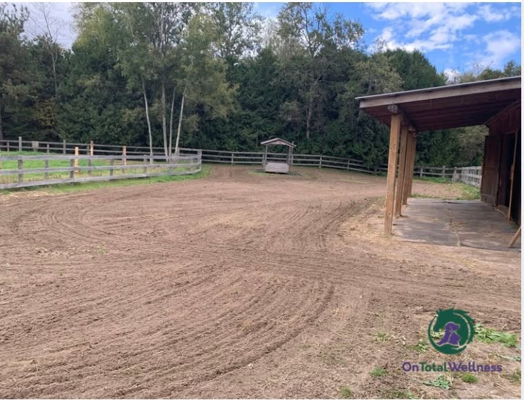 #TTT #TrackTipTuesday Harrowing a clean paddock makes mucking it even easier as it helps to smooth out the surface and rebalance the ground allowing your mucking fork to slide along the surface while collecting manure seamlessly.
Our online course From Paddock to Paradise covers everything you need to confidently build and maintain a track system for your horses, ponies, or donkeys
From Paddock To Paradise | ONTW https://share.google/cEPySQXwzFxSfIIFr
#EquineWellness #betteroutside #onestepatatime