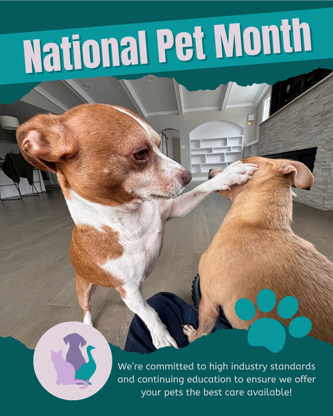 May is National Pet Month!
Pioneer Animal Walkers is committed to high industry standards and continuing education to ensure we offer your pets the best care available!
www.pioneeranimalwalkers.com