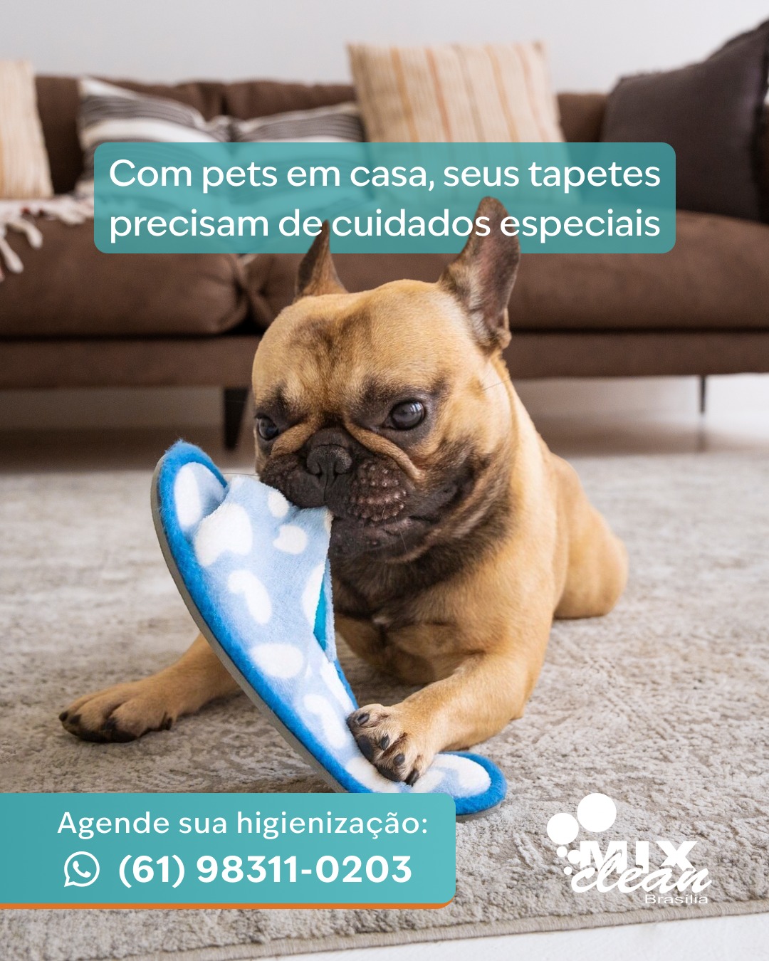 🐾 Pets em casa exigem mais cuidado
Quem tem pets sabe que pelos, odores e sujeiras se acumulam rapidamente nos tapetes. Mesmo com limpeza frequente, resíduos permanecem nas fibras.
A higienização profissional elimina essas impurezas e deixa o ambiente mais seguro.
✨ Na Mix Clean, cada detalhe faz diferença.
📲 Solicite seu orçamento e agende sua higienização: (61) 98311-0203
🌐 www.mixclean.com.br
🚚 Coleta e entrega em todo o DF
🌿 Produtos biodegradáveis
#mixclean #pets #tapetes #casacompets #higienização #limpezaprofissional #tapeteslimpos #ambientesaudavel #bemestar #brasília #cuidadoemcasa #limpezaprofunda #estofados #qualidadedevida #saude