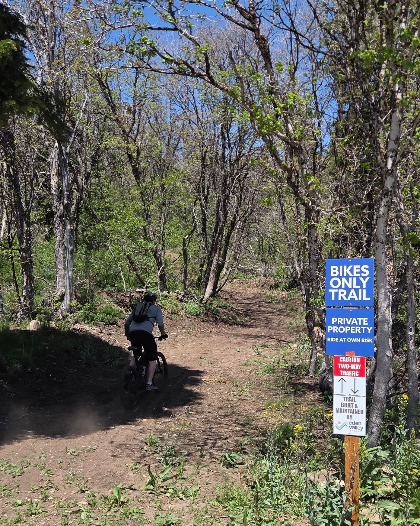 Canyon Rim @snowbasinresort is OPEN. 🚵
Trail is rolling great and the parking area is ready for you.
Trails like this don't happen without a lot of saws, shovels, and dedicated people. If you've ever ridden Canyon Rim and loved it, consider throwing a few dollars our way — it goes straight back into the dirt.