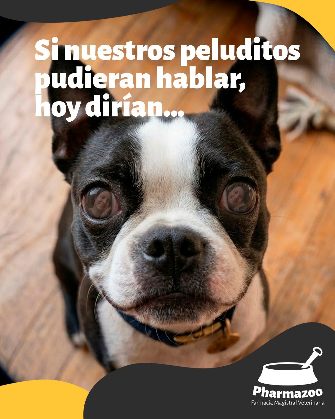 Si nuestros peluditos pudieran hablar, hoy dirían...
"Gracias por levantarte en la noche cuando no me sentía bien.
Gracias por llevarme al veterinario aunque yo no quería ir. 🐶
Gracias por ese abrazo que siempre llega justo cuando lo necesito.
Gracias por amarme sin condiciones, todos los días."
En Pharmazoo sabemos que ser mamá de un peludito es un amor enorme — y nos encanta cuidar de ellos para que siempre estén sanos y felices junto a ti. 🐱🐕
¡Feliz Día de la Madre a todas las mamás de peluditoss! 💛
Hoy y siempre, su amor hace la diferencia. 🌸
#FelizDíaDeLaMadre #Pharmazoo #AmorAnimal #PeluditosConSalud #MamáDePerros #MamáDeGatos