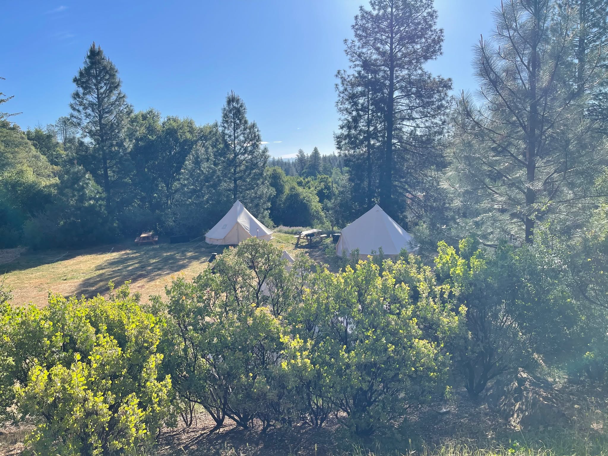 The campground is officially open for the season! 🌲🏕️
The picnic tables are waiting, the campfire rings are ready, and Yosemite adventures are back in full swing. So here’s to smoky hoodies, stargazing, early morning coffee, and the kind of memories that only happen outside. 💚
Welcome back to camping season at Yosemite Basecamp in downtown Groveland!
#morethanaflyshop #YosemiteBasecamp #Yosemite #VisitGrovelandCA
