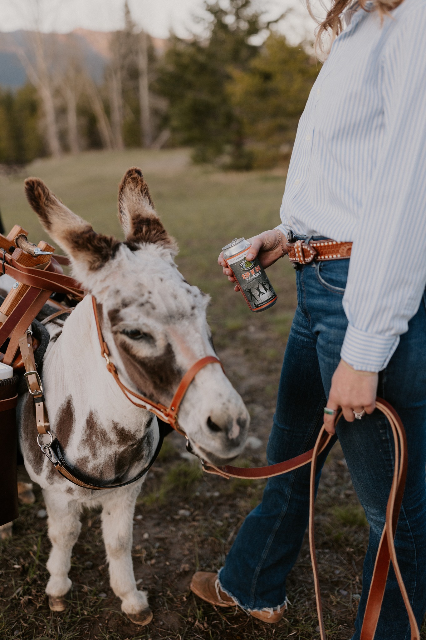 The most trustworthy beer delivery system we’ve seen yet. Can't get over these photos with @montanabeerburros @sondermontanaco and @westofheremontana!