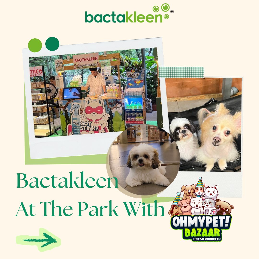 We had an amazing time with you at Oh MY Pet! Bazaar this past weekend!
Thank you for all your support and for letting us play with your cute furry friends ❤️