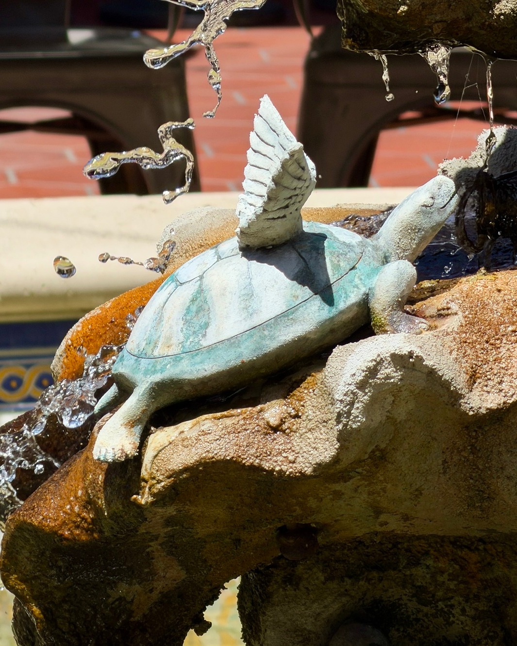 Next time you’re strolling State Street, stop by, say hello to Amelia, make a wish at the fountain, and enjoy one of Santa Barbara’s most charming hidden gems.
📍 La Arcada Plaza — where art, whimsy, and discovery always show up.
#LaArcadaPlaza #MeetMeAtLaArcada #SantaBarbara #LaArcada100 #turtlefountain