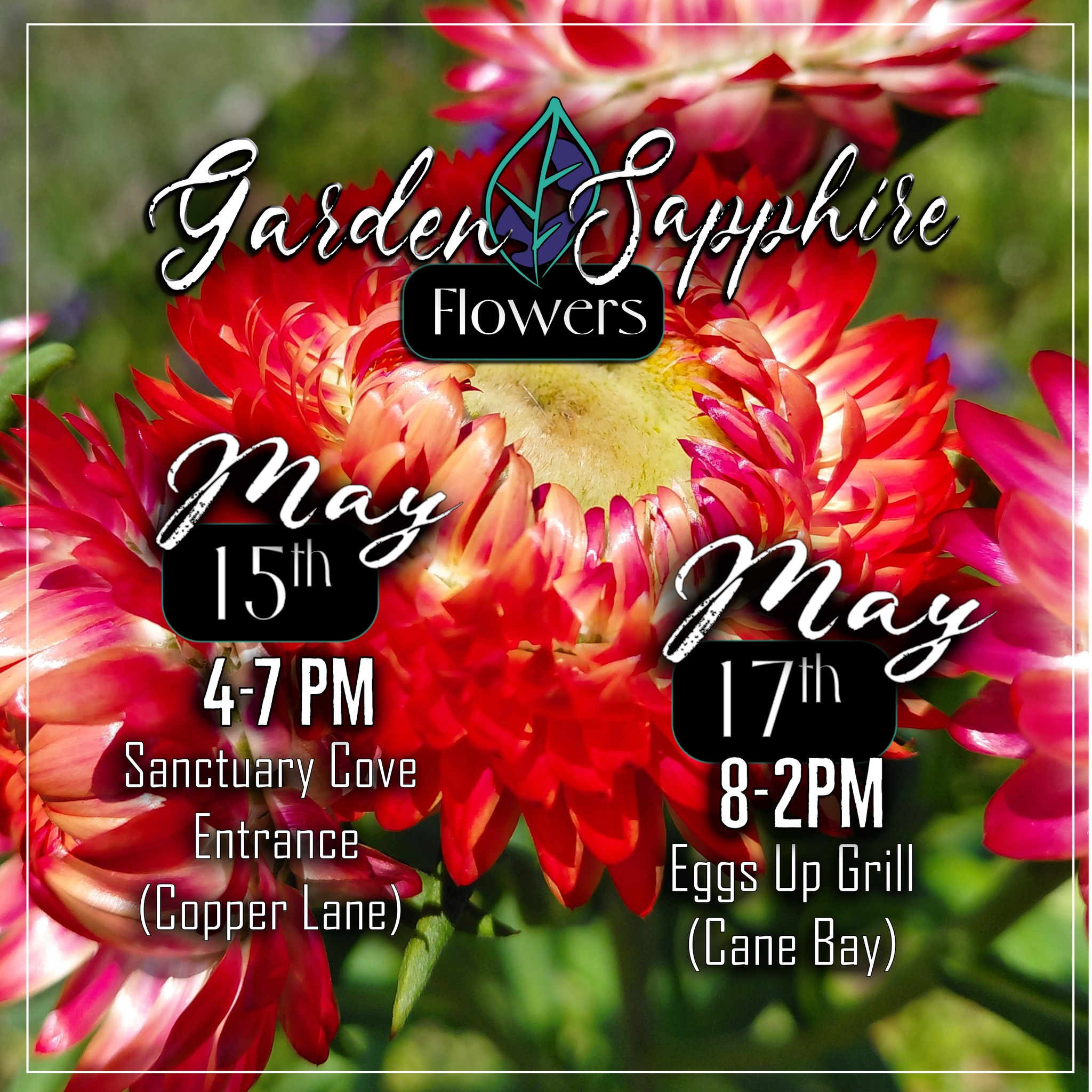 We'll be out and about this weekend!
We can't wait to see you!
@followers