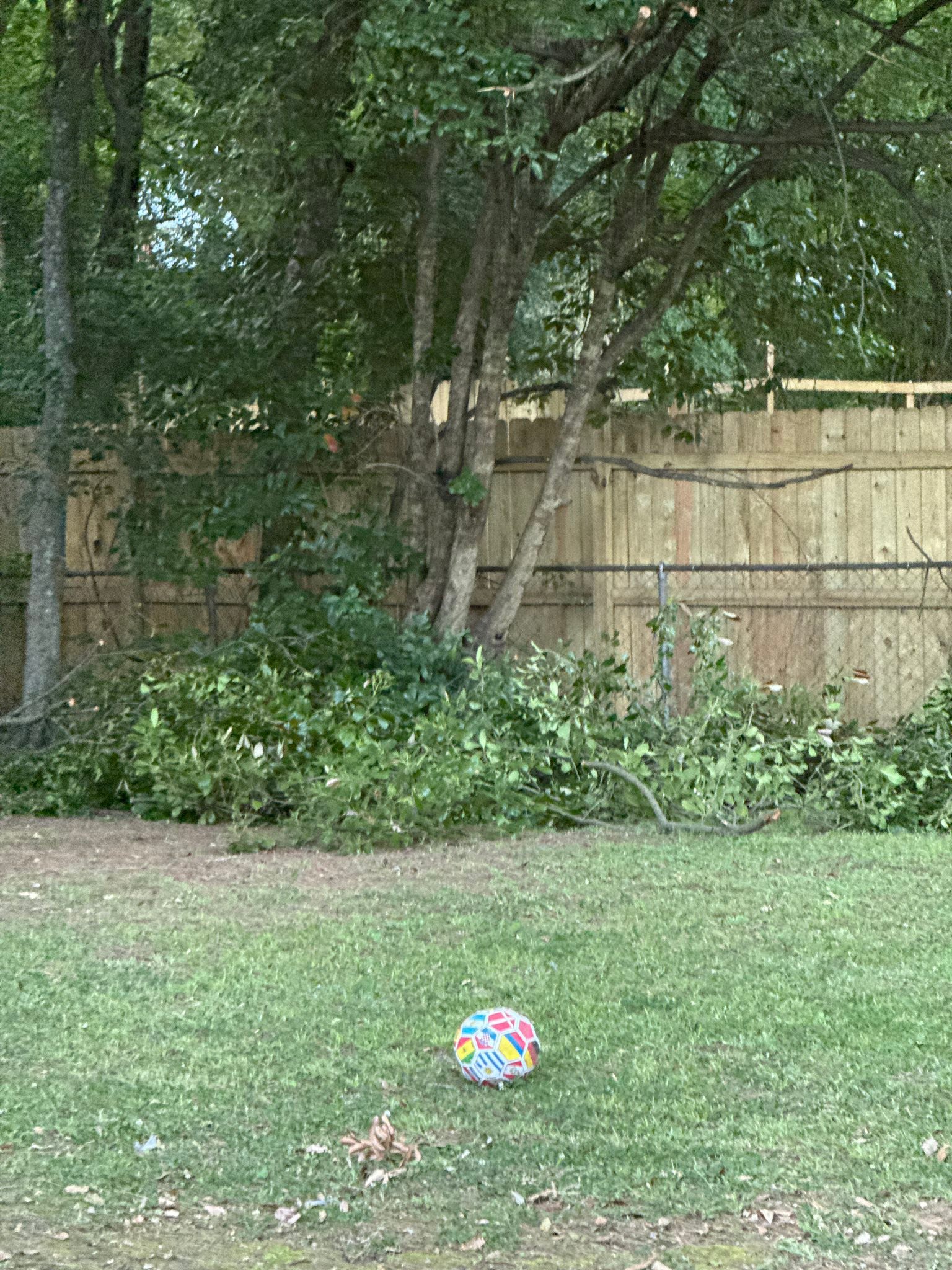 Them: What you doing for you birthday
Me:Apparntly trimming trees
Now who hauls off limbs