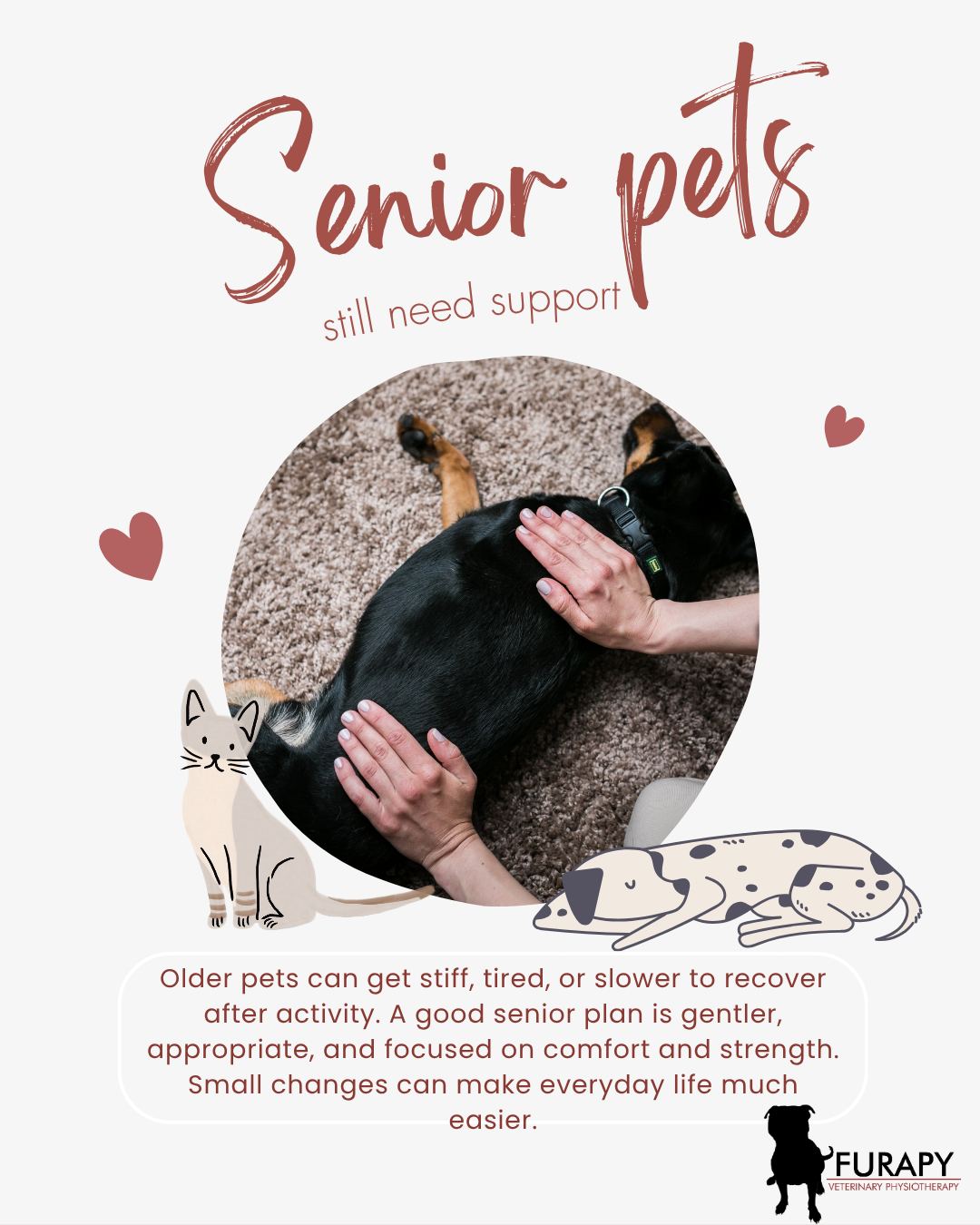 🐾 “They’re just getting older” isn’t always the full story 🐾
A lot of senior pets quietly put up with stiffness, weaker muscles, sore joints, and reduced mobility long before it becomes obvious at home.
At Furapy, we help older dogs and cats stay as comfortable and mobile as possible with tailored veterinary physiotherapy carried out in their own home, where they feel most settled.
Treatment can include massage, strengthening exercises, pain management support, and advice on simple changes at home that can make daily life easier.
Home visits also mean we can properly see how your pet moves and responds in their normal environment, which often tells us far more than a quick appointment in clinic.
The aim isn’t just to improve movement. It’s helping your pet feel more comfortable getting up, managing walks better, settling more easily, and enjoying life for longer.
If your older pet seems slower, stiffer, or just not quite themselves anymore, it may be worth looking into physiotherapy sooner rather than later.
Feel free to message us if you’d like to chat about how we could help 💕