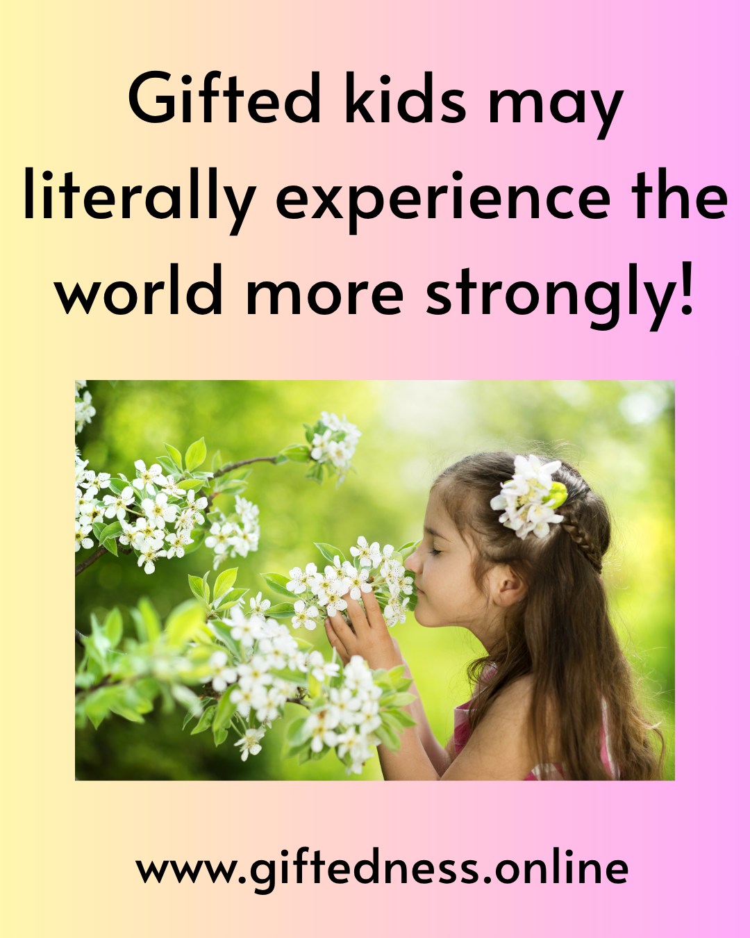 Ever noticed your gifted child reacting strongly to smells?
In a study of children ages 8–11, gifted participants demonstrated superior olfactory abilities (including odor detection and identification) compared to typically developing peers. These differences may reflect broader neural advantages, as olfactory processing is closely linked to brain regions involved in memory, learning, and emotion.
This adds to a growing body of evidence suggesting that gifted children may experience the world with greater intensity—not just intellectually, but sensorily as well.
💛 For parents: That strong reaction to smells, textures, or environments may not be “overreacting”—it may be part of how their brain is wired.
Source: Yıldırım, Ö., et al. (2026). Association between intelligence and olfactory function in children: A cross-sectional study using the Sniffin’ Sticks test. PsycInfo Database Record.
#GiftedEducation #giftedandtalented #giftedadults #giftedness #gifted #smart #giftedchild #girlpower #girl #women #GiftedAdults #sensory #smell #braindevelopment #brain