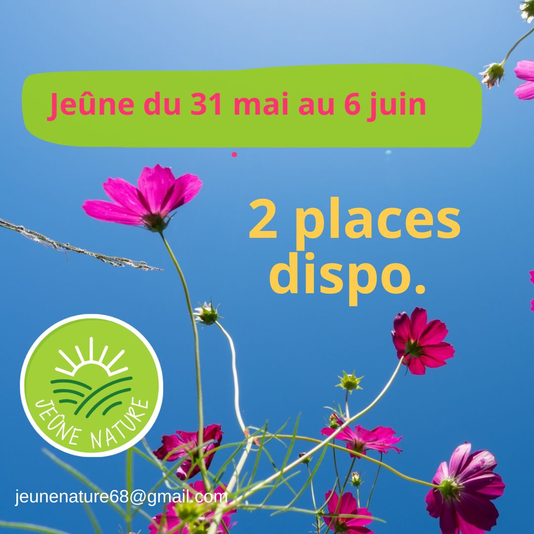 ✨ Envie de tenter un jeûne ?
Il reste encore 2 places pour la semaine du 31/05 au 06/06 !
🌿 Belles randonnées 🧘♀️ Yoga chaque matin
✨ Ateliers le soir & séances de relaxation
Prêt(e) à vivre l’expérience ? 🙌 Appellez nous sur 06 30 49 40 17