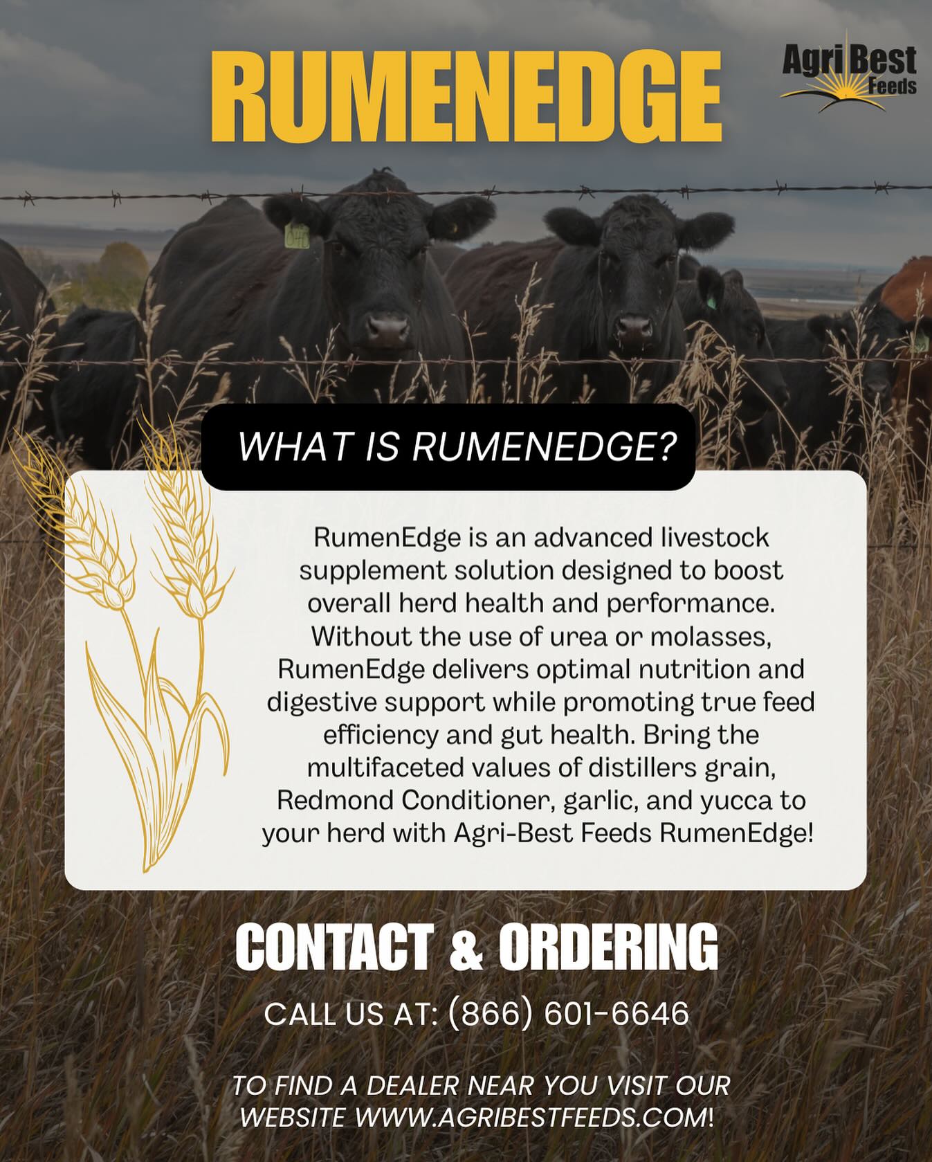 Support your herd’s health and performance with Rumen Edge from AgriBest Feeds—designed to optimize digestion and boost productivity.
Learn more now at AgriBestFeeds.com! 🐄💪
#CattleNutrition #AgriBestFeeds #RumenEdge #HerdHealth