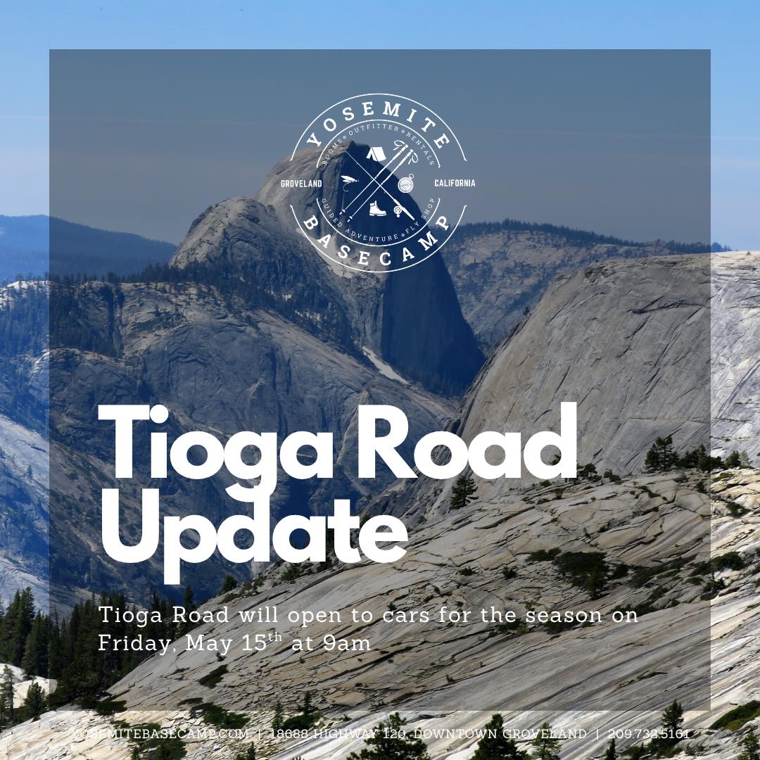 ‼️Tioga Road will open for the season this week!
🚴 Open to bikes on Thursday, May 14! Make sure and watch for administrative vehicle traffic.
🚙 Open to all traffic on Friday, May 15, at 8 am.
🚨Limited services will be available along Tioga Road; bring your own appropriate levels of food and water. Vault and portable toilets will be available along Tioga Road. No other services will be available along Tioga Road.
Tioga Road will be open to bikes on Thursday, May 14 (please watch for administrative vehicle traffic).